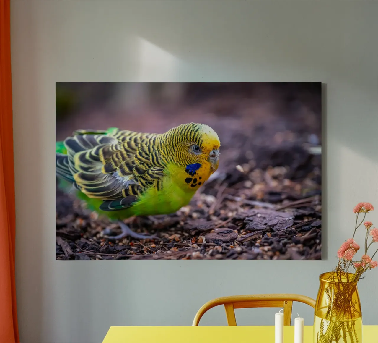 Groene grasparkiet pikt granen canvas met Baklijst van Marcus Beckert | Fotografie