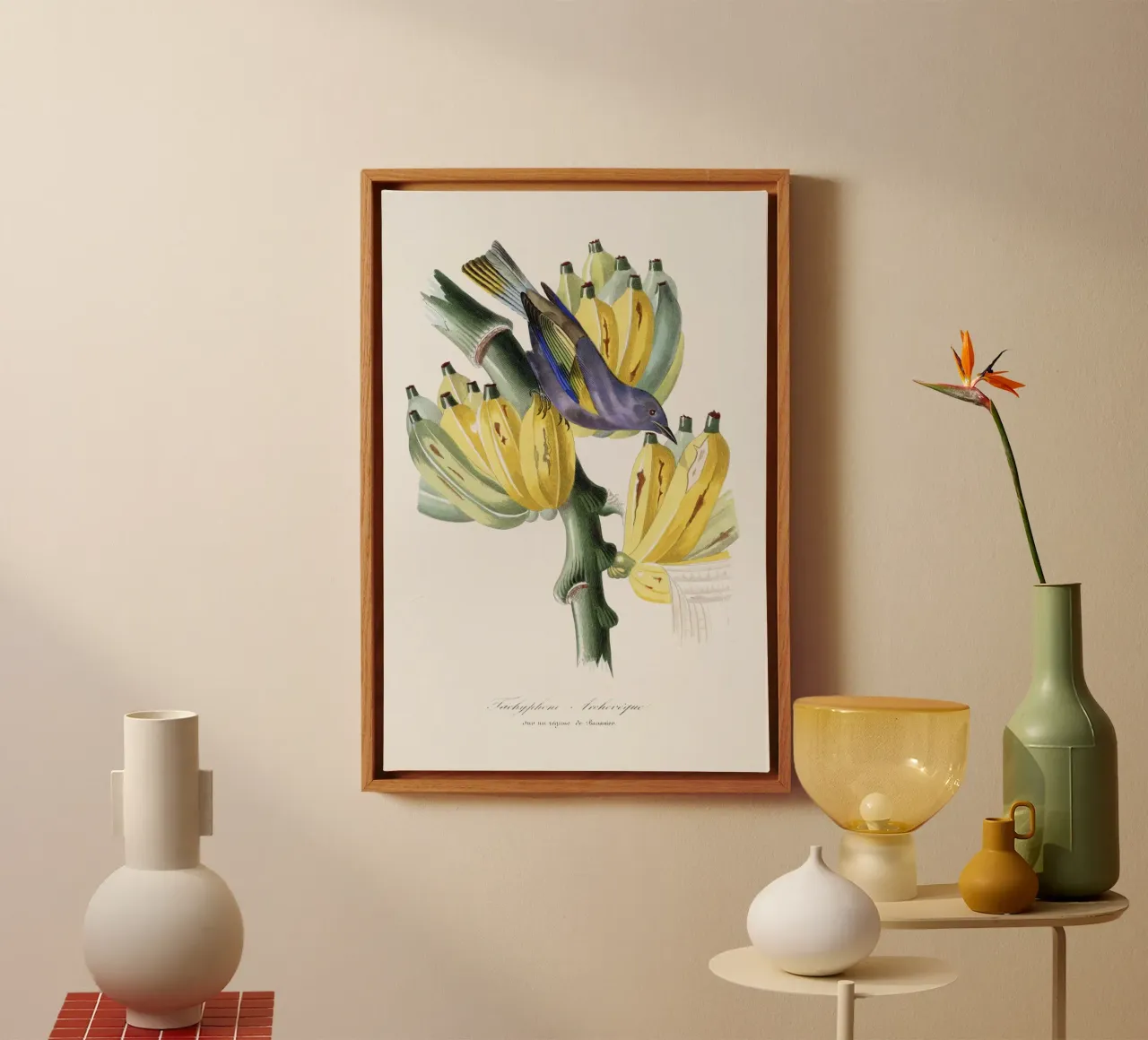 Paul Gervais - Tachyphone Archeveque Vogel canvas met Baklijst van Old Masters
