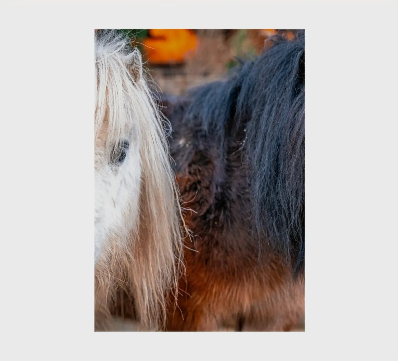 White and black fringes notebook by Marcus Beckert | Fotografie