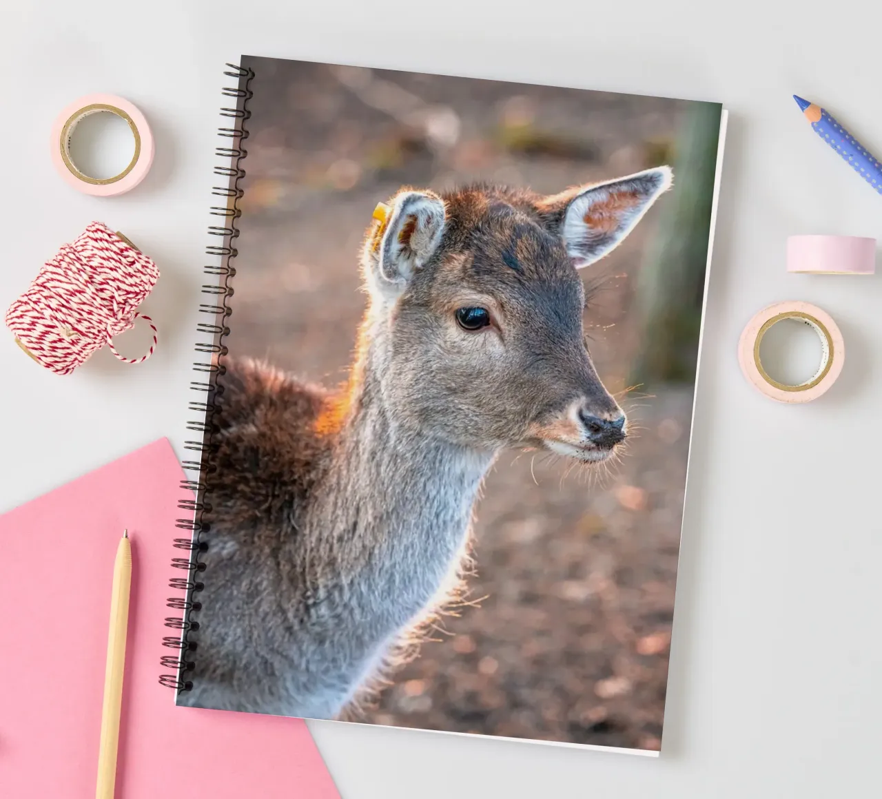 Junges Reh im Wald Ringbuch von Marcus Beckert | Fotografie