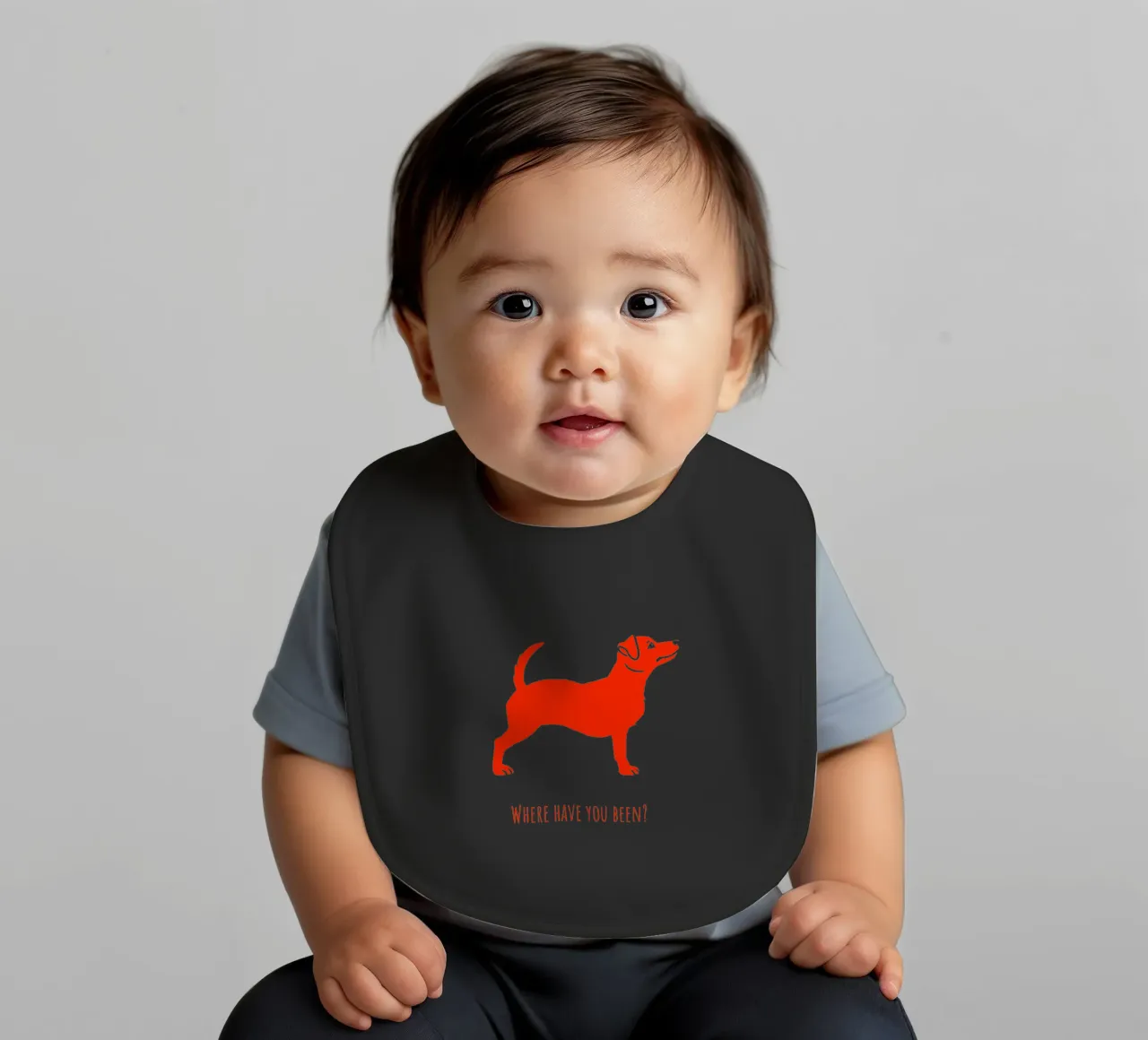 Jack Russel bavaglino da Pop dogs