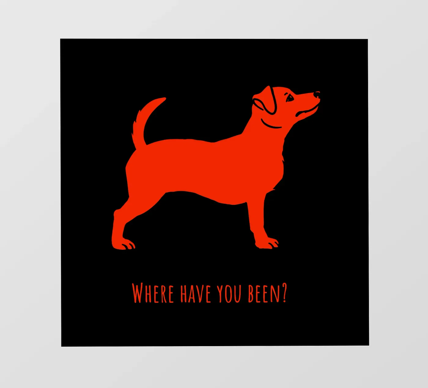 Jack Russel pellicola backlit da Pop dogs
