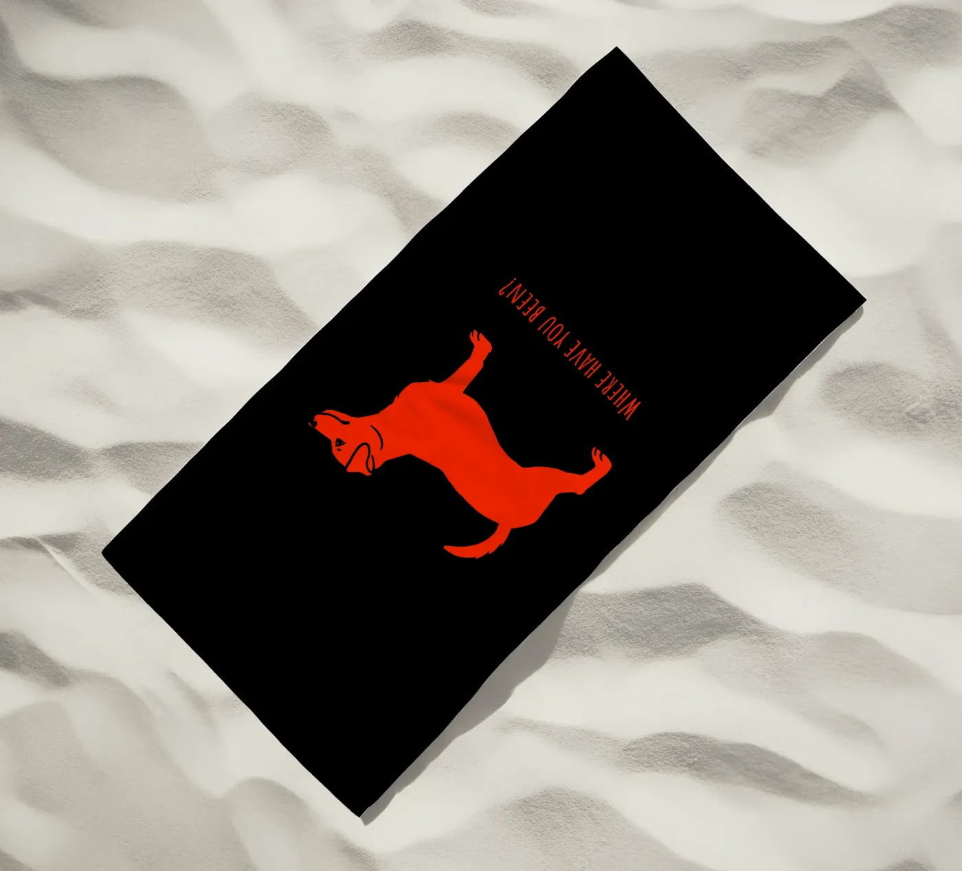 Jack Russel telo mare da Pop dogs