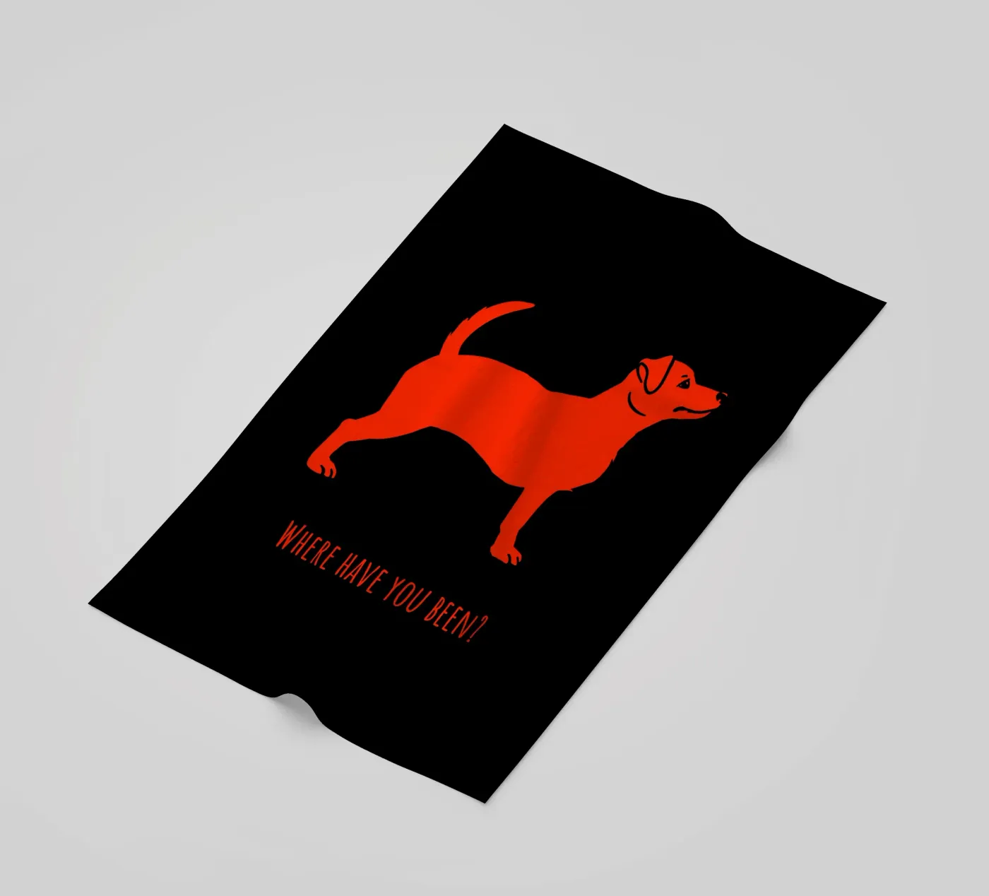 Jack Russel telo mare da Pop dogs