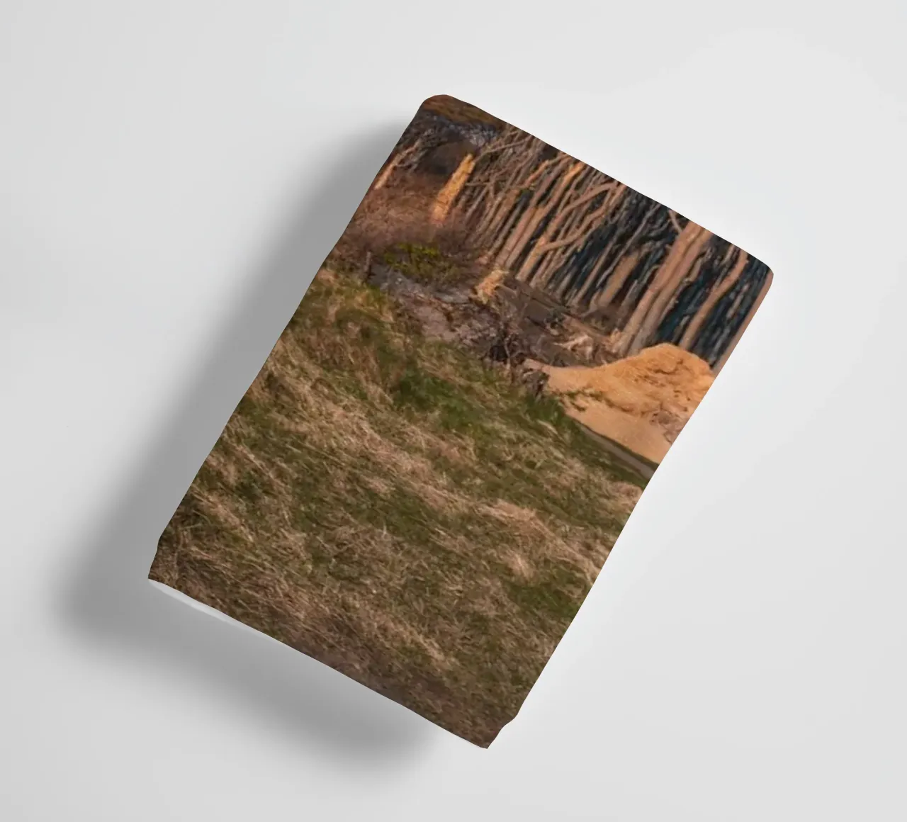Ghostly forest on the Baltic Sea towel by Marcus Beckert | Fotografie