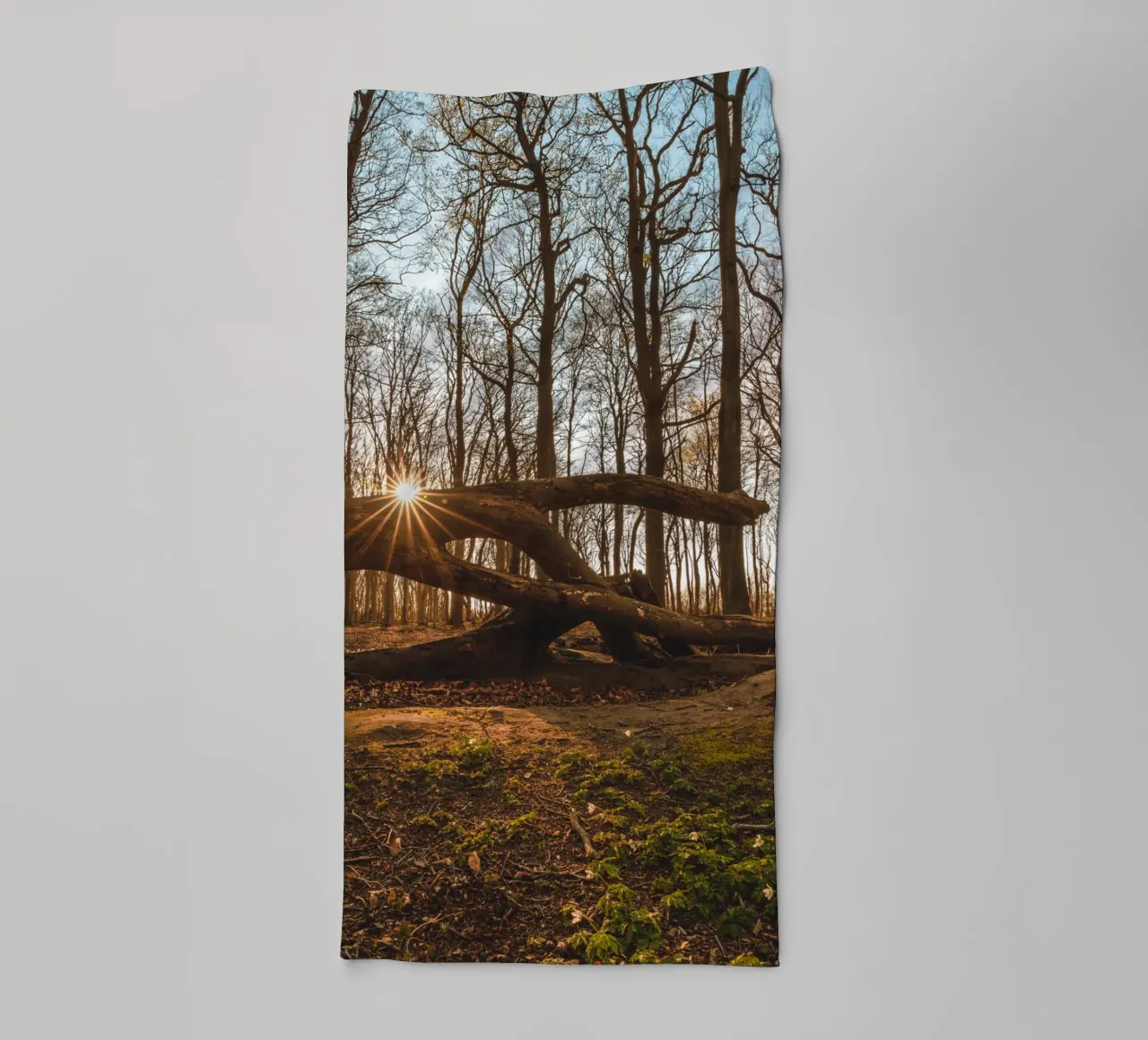 Sun star in the ghostly forest of the Baltic Sea towel by Marcus Beckert | Fotografie