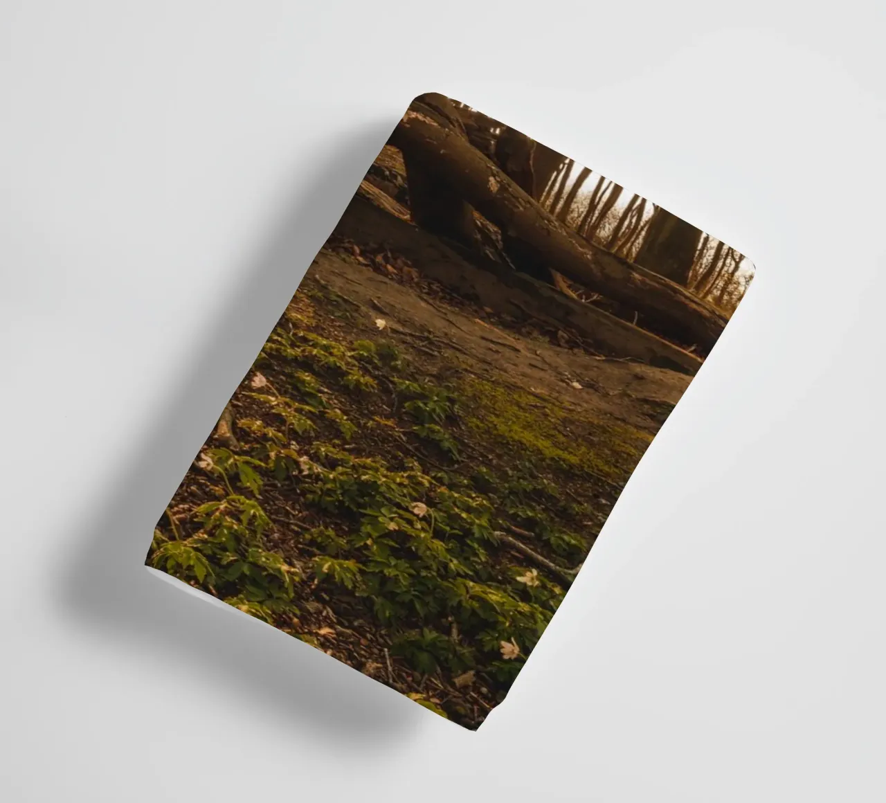 Sun star in the ghostly forest of the Baltic Sea towel by Marcus Beckert | Fotografie