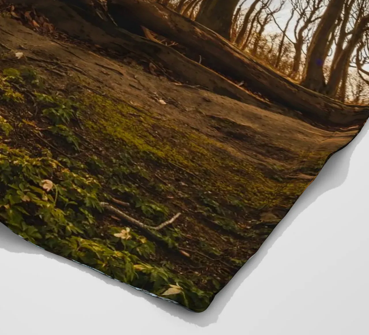 Sun star in the ghostly forest of the Baltic Sea fleece blanket by Marcus Beckert | Fotografie