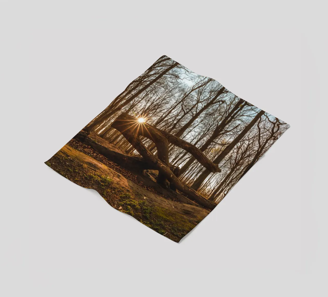Sun star in the ghostly forest of the Baltic Sea fleece blanket by Marcus Beckert | Fotografie