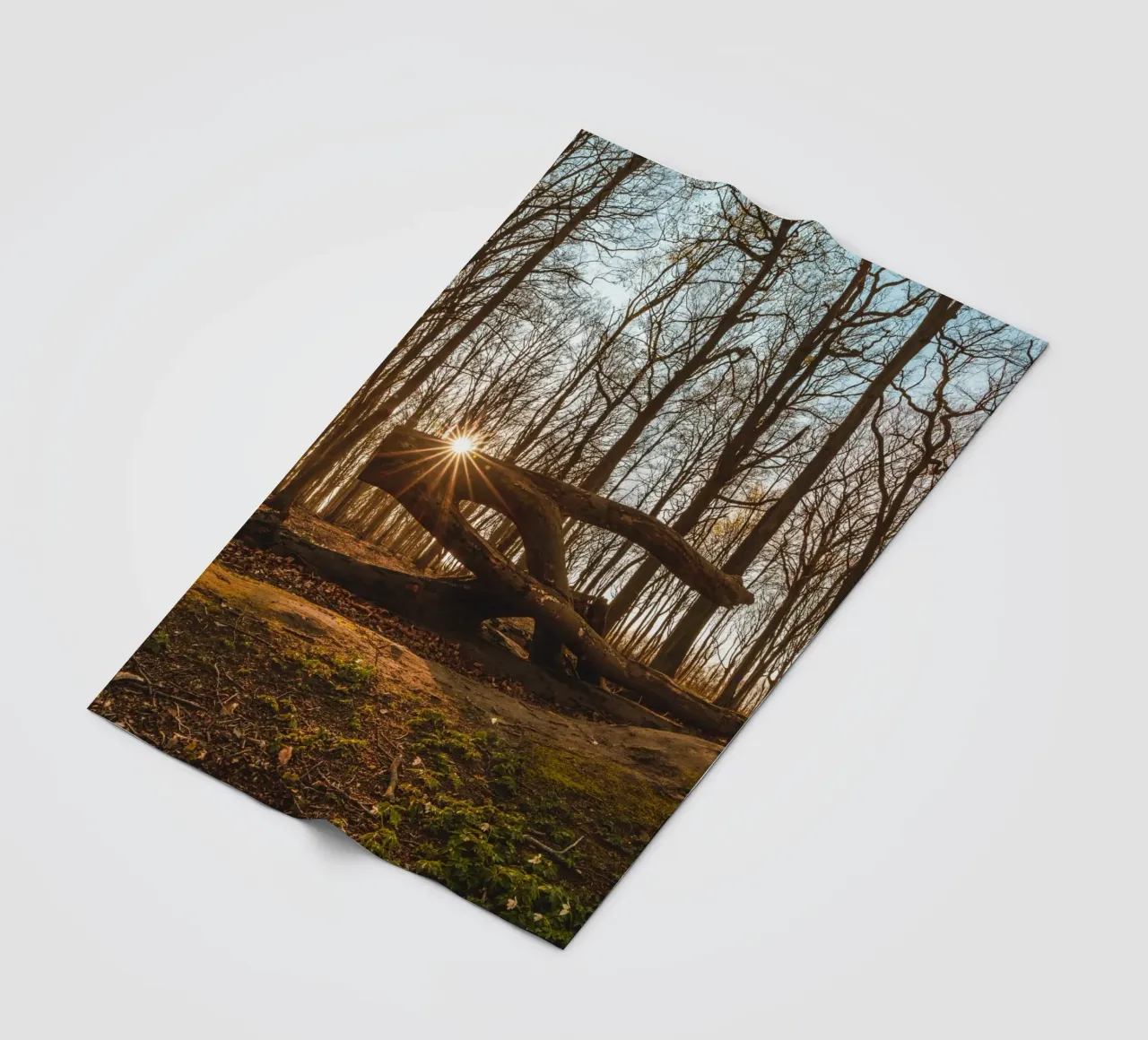 Sun star in the ghostly forest of the Baltic Sea fleece blanket by Marcus Beckert | Fotografie