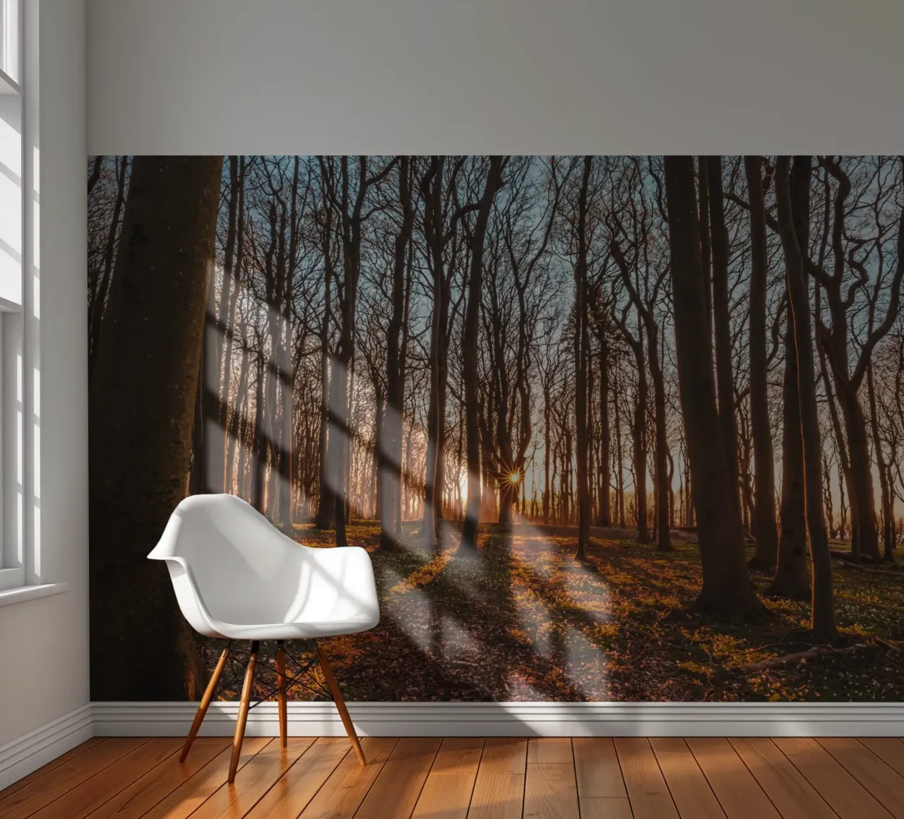Sun star in the ghostly forest on the Baltic Sea photo wallpaper by Marcus Beckert | Fotografie