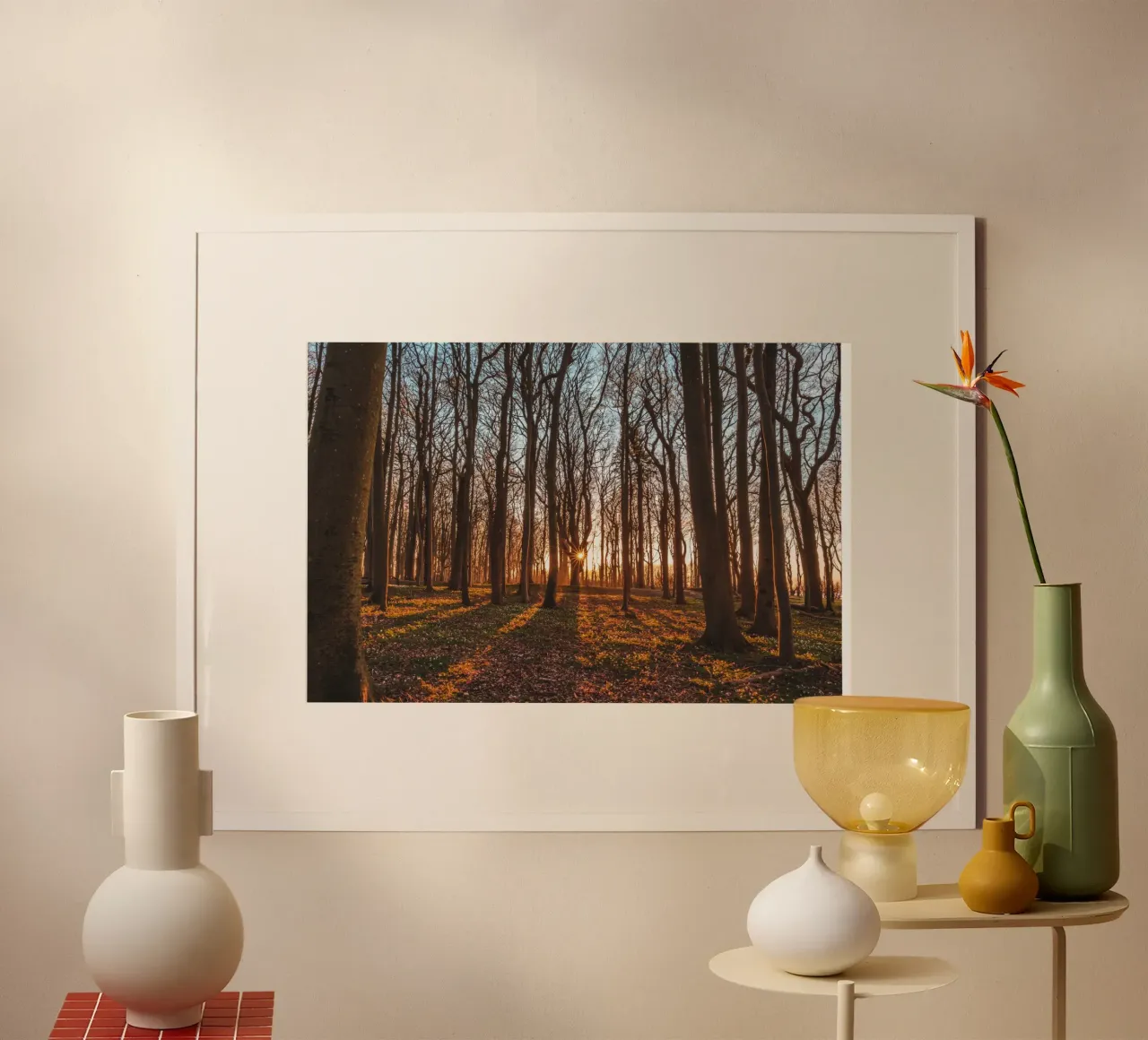 Sun star in the ghostly forest on the Baltic Sea poster by Marcus Beckert | Fotografie