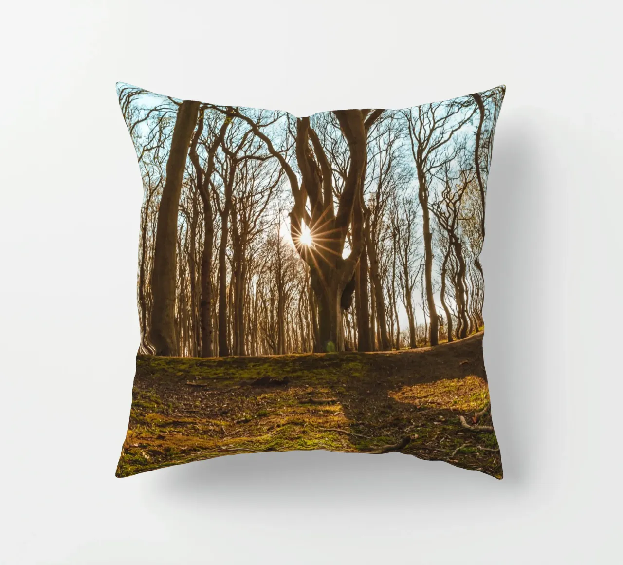 Sunset in the ghostly forest on the Baltic Sea decorative cushion by Marcus Beckert | Fotografie