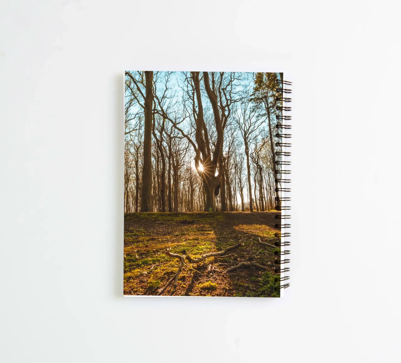 Sunset in the ghostly forest on the Baltic Sea spiral notebook by Marcus Beckert | Fotografie