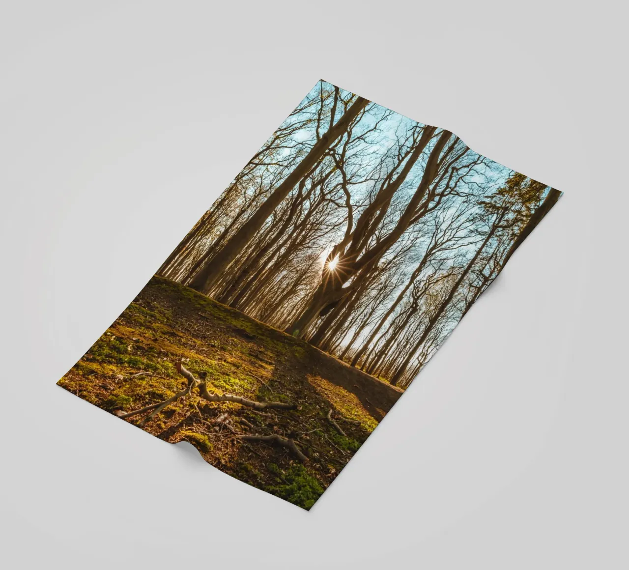 Sunset in the ghostly forest on the Baltic Sea beach towel by Marcus Beckert | Fotografie