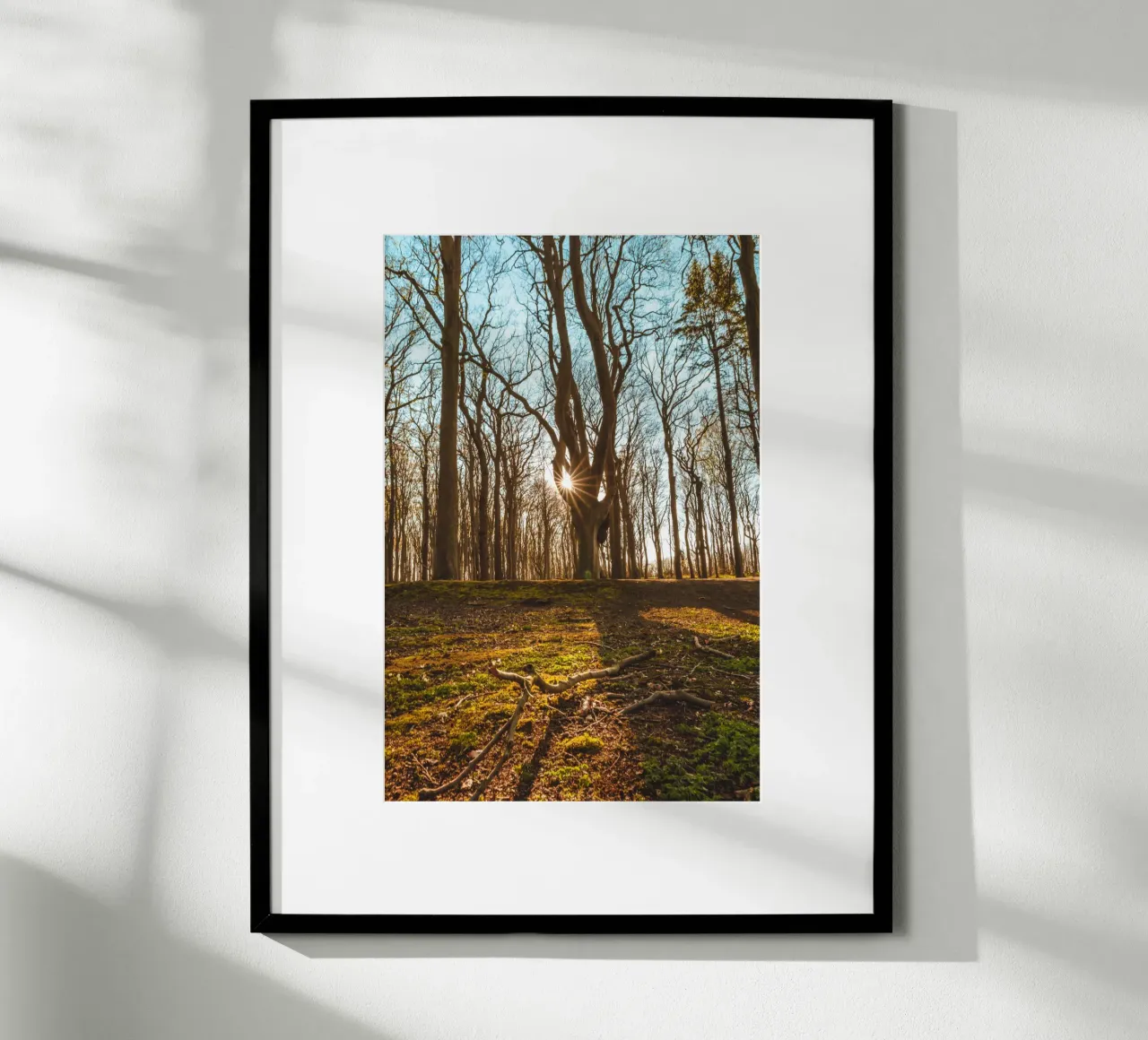 Coucher de soleil dans la forêt des fantômes sur la mer Baltique hahnemühle de Marcus Beckert | Fotografie