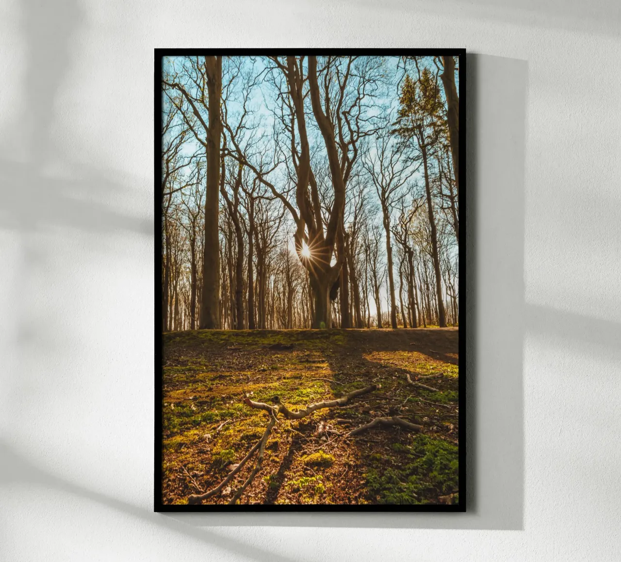 Coucher de soleil dans la forêt des fantômes sur la mer Baltique hahnemühle de Marcus Beckert | Fotografie