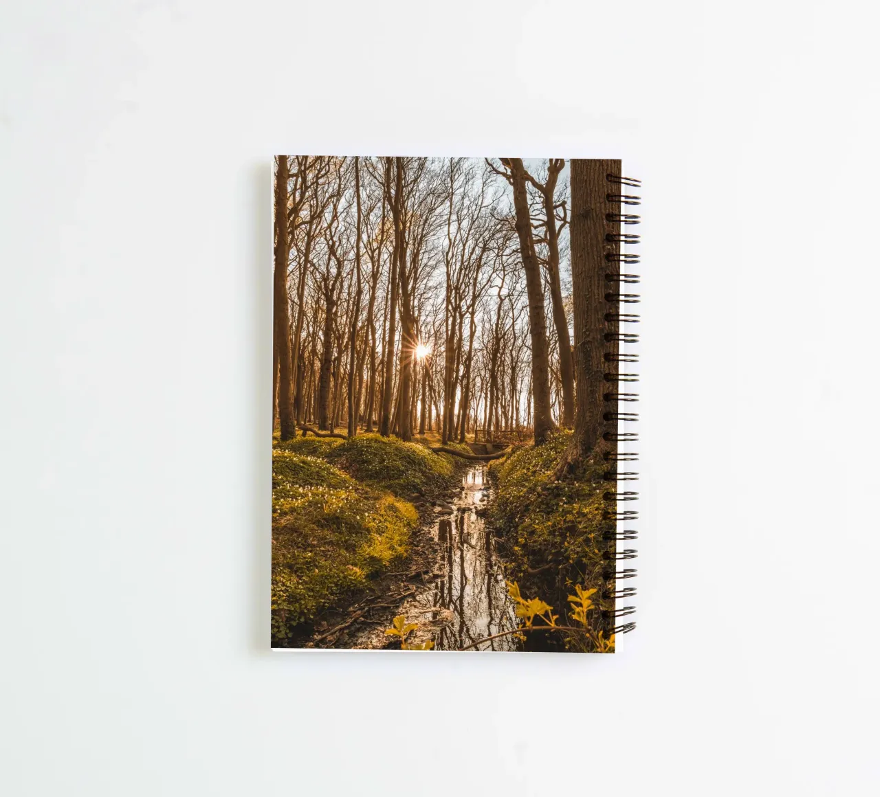 Sunset in the ghostly forest in Nienhagen spiral notebook by Marcus Beckert | Fotografie