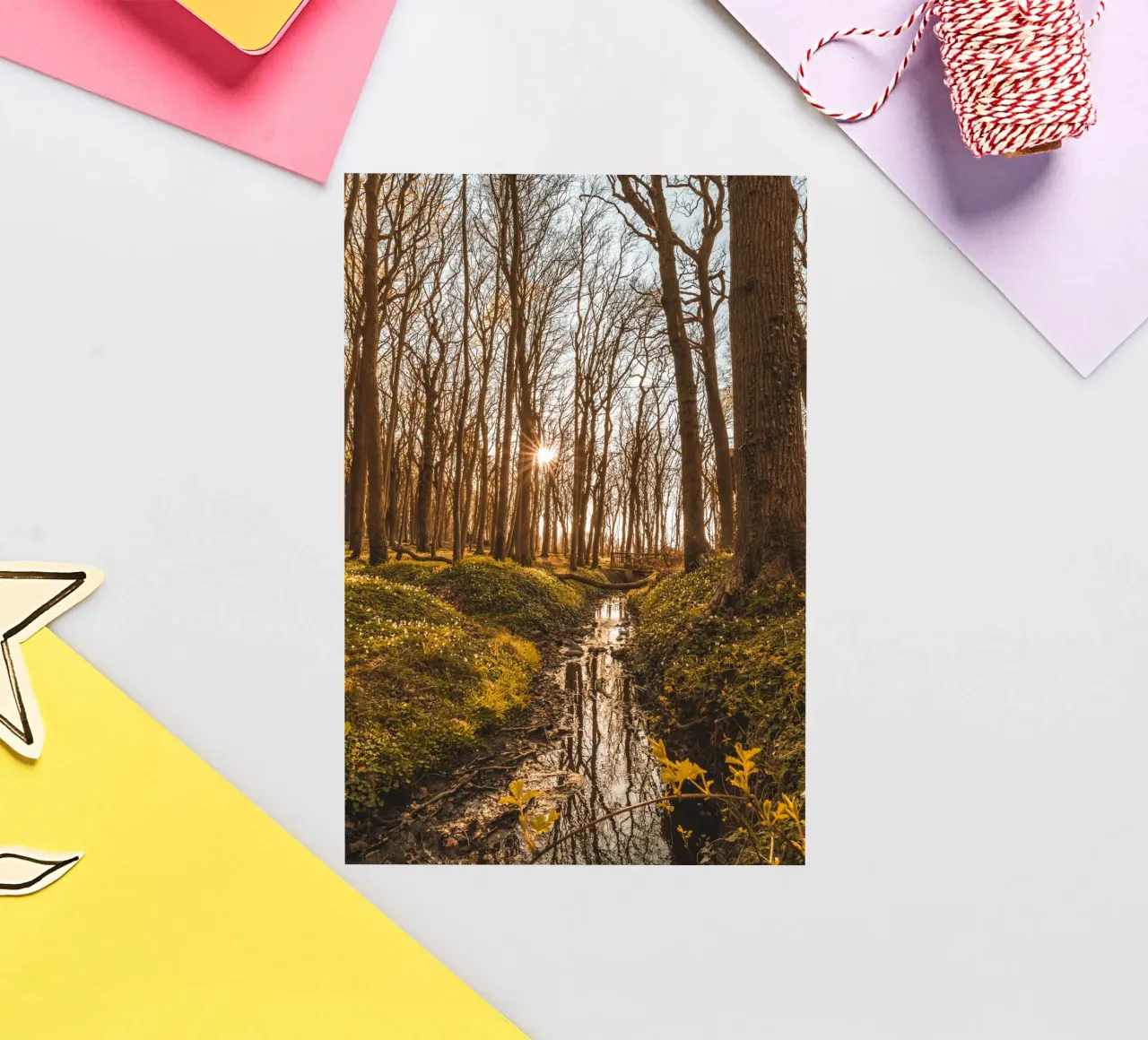Sunset in the ghostly forest in Nienhagen sticker by Marcus Beckert | Fotografie
