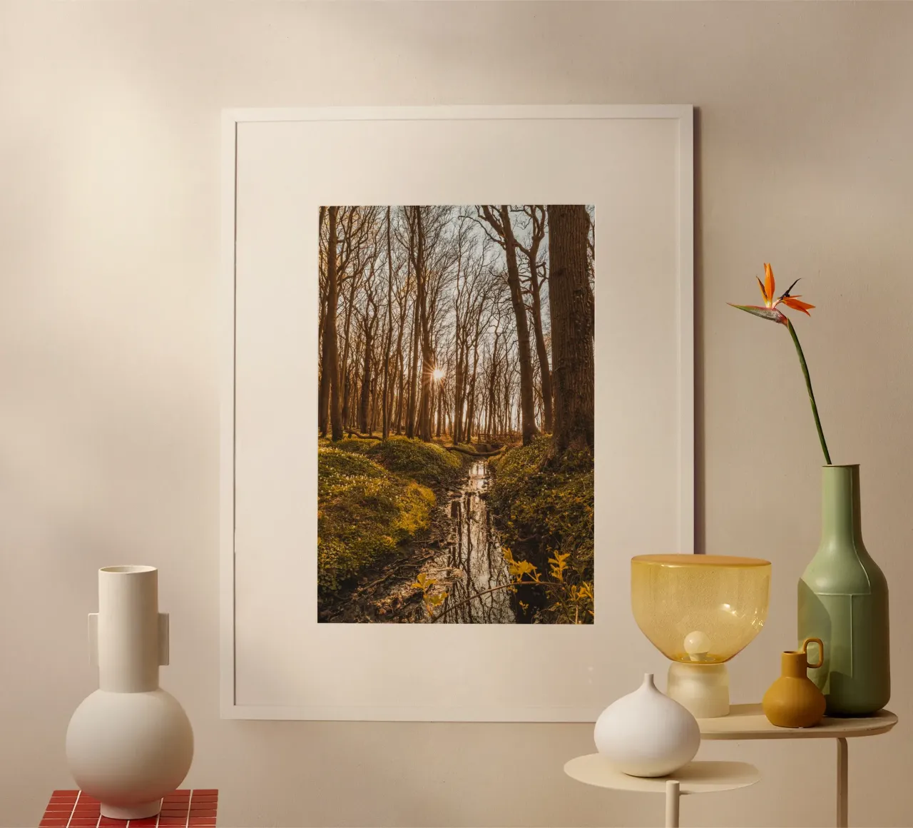 Sunset in the ghostly forest in Nienhagen hahnemühle by Marcus Beckert | Fotografie