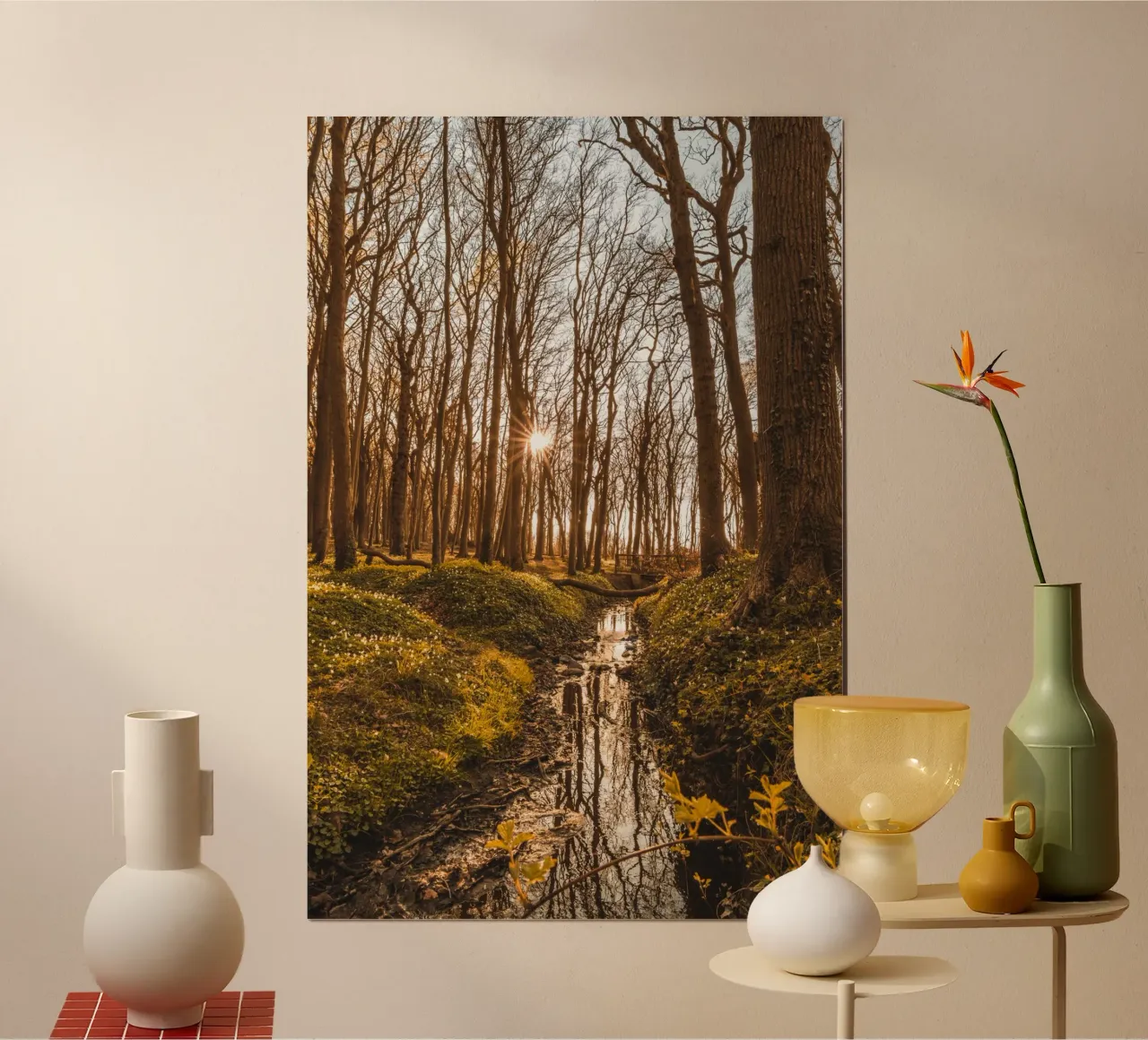 Sunset in the ghostly forest in Nienhagen hahnemühle by Marcus Beckert | Fotografie