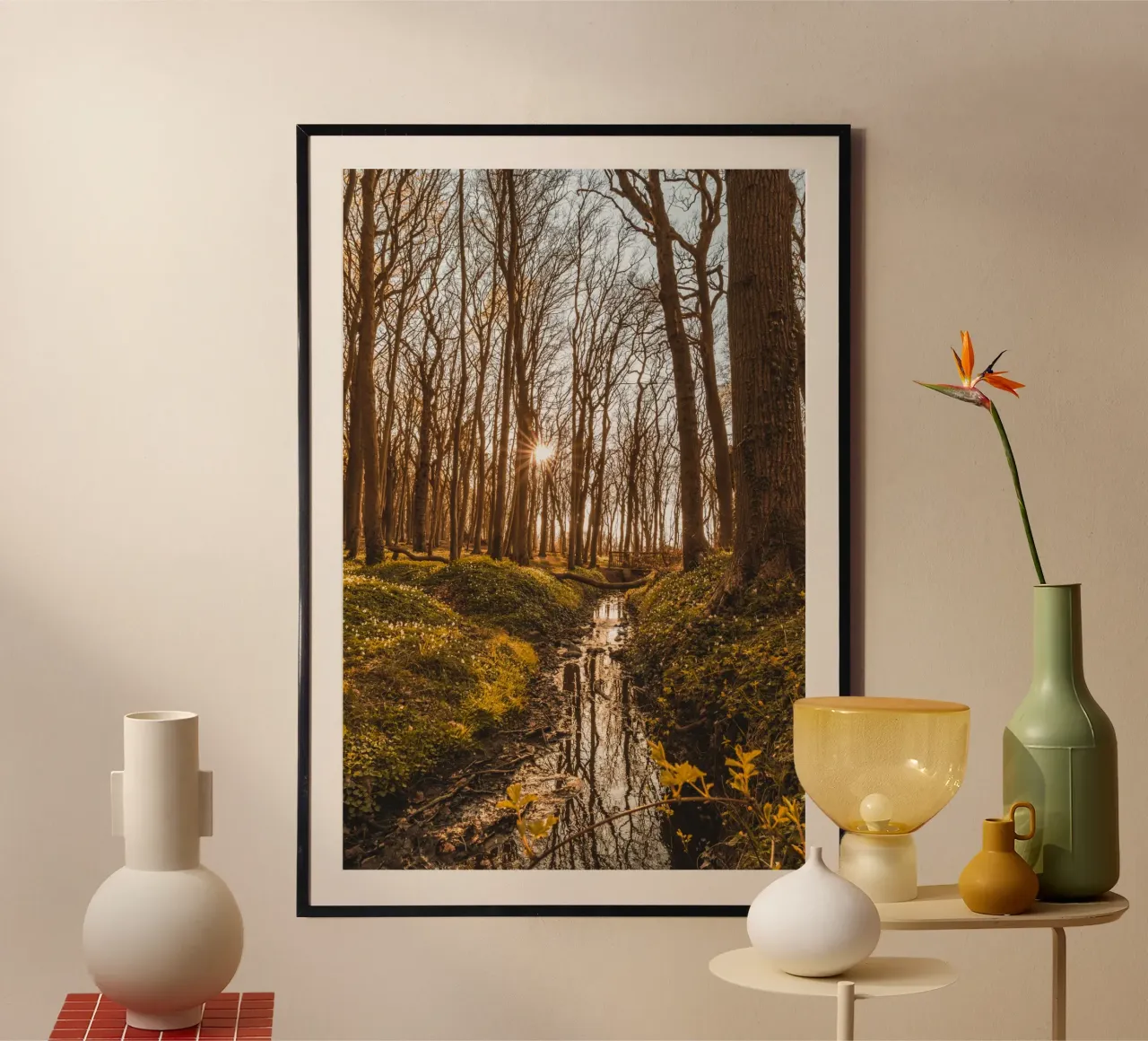 Sunset in the ghostly forest in Nienhagen hahnemühle by Marcus Beckert | Fotografie