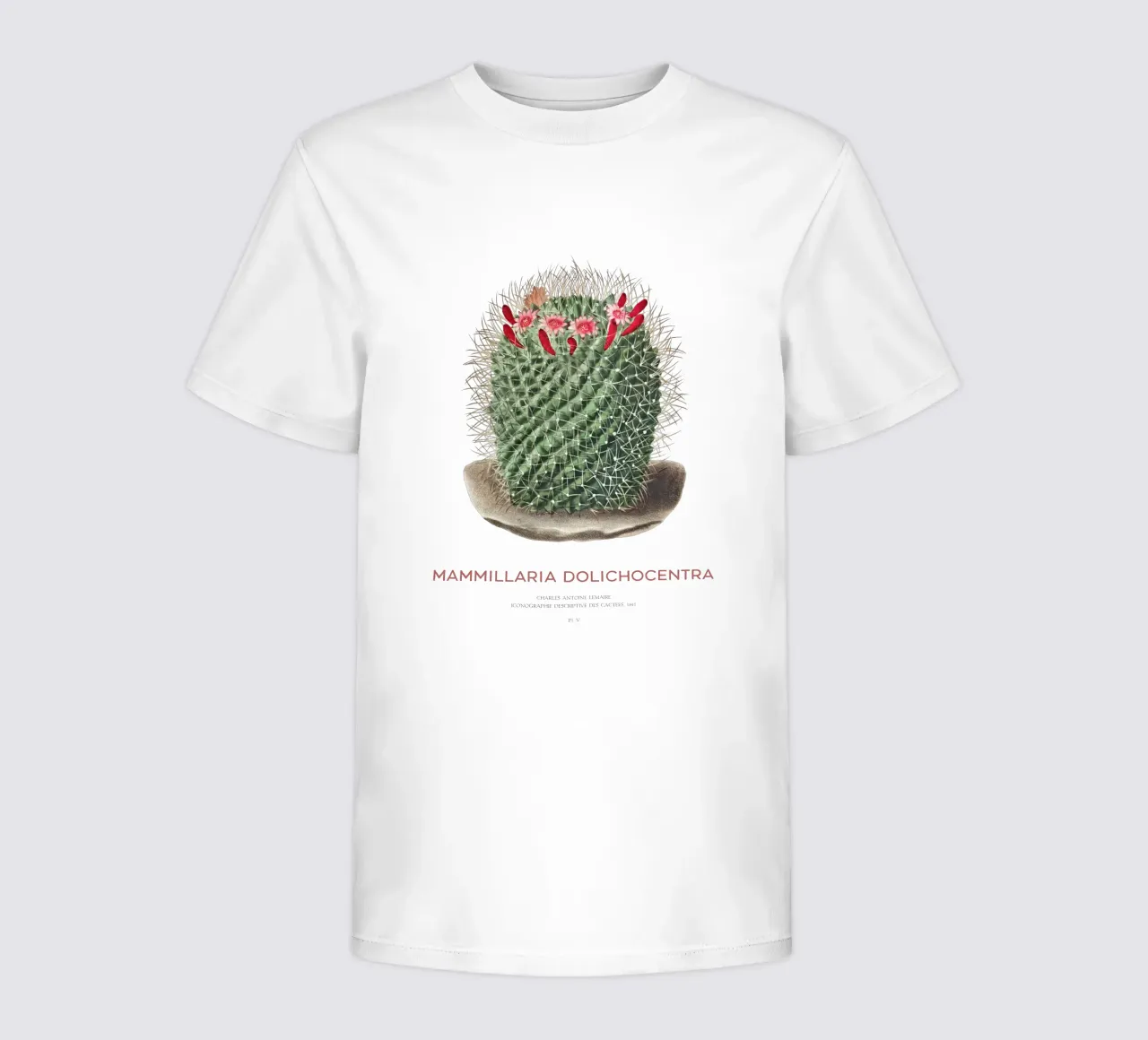 Nadelkissen-Kaktus oder Mammillaria dolichocentra Kinder T-Shirt von Vintagrafica
