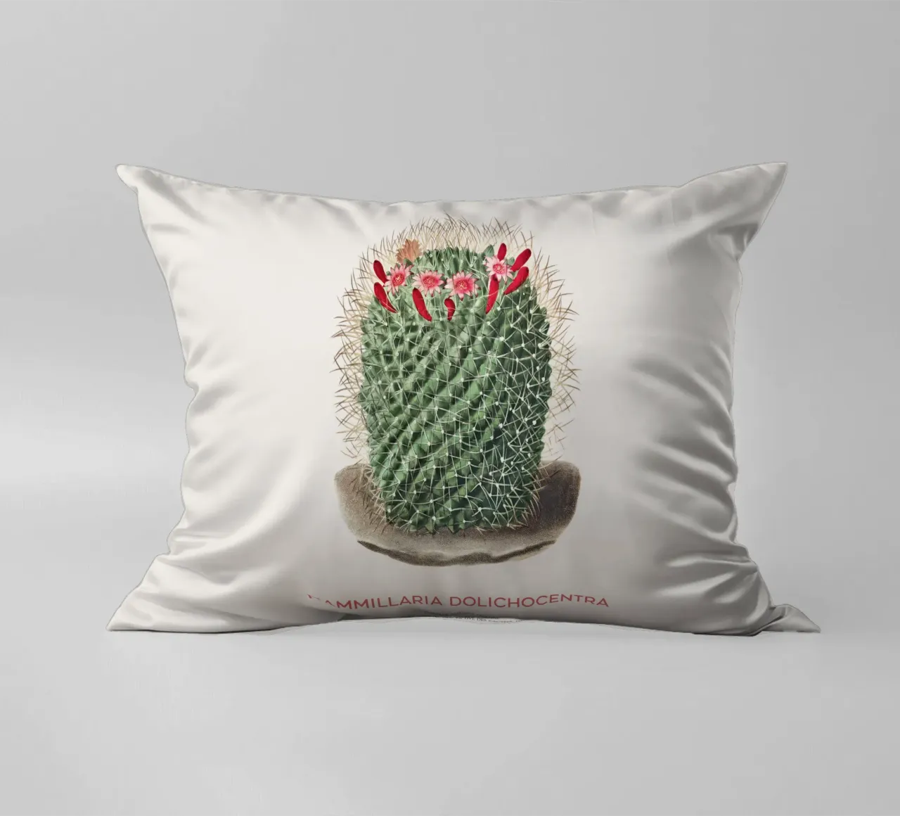 Cactus a puntaspilli o Mammillaria dolichocentra cuscino da Vintagrafica