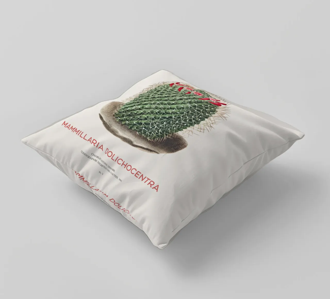Cactus a puntaspilli o Mammillaria dolichocentra cuscino da Vintagrafica
