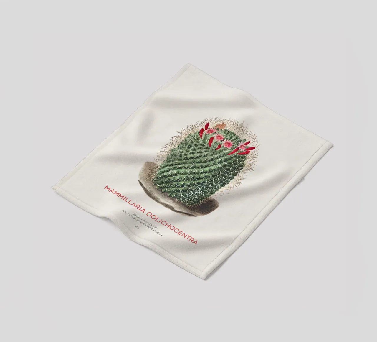 Cactus a puntaspilli o Mammillaria dolichocentra coperta in pile da Vintagrafica