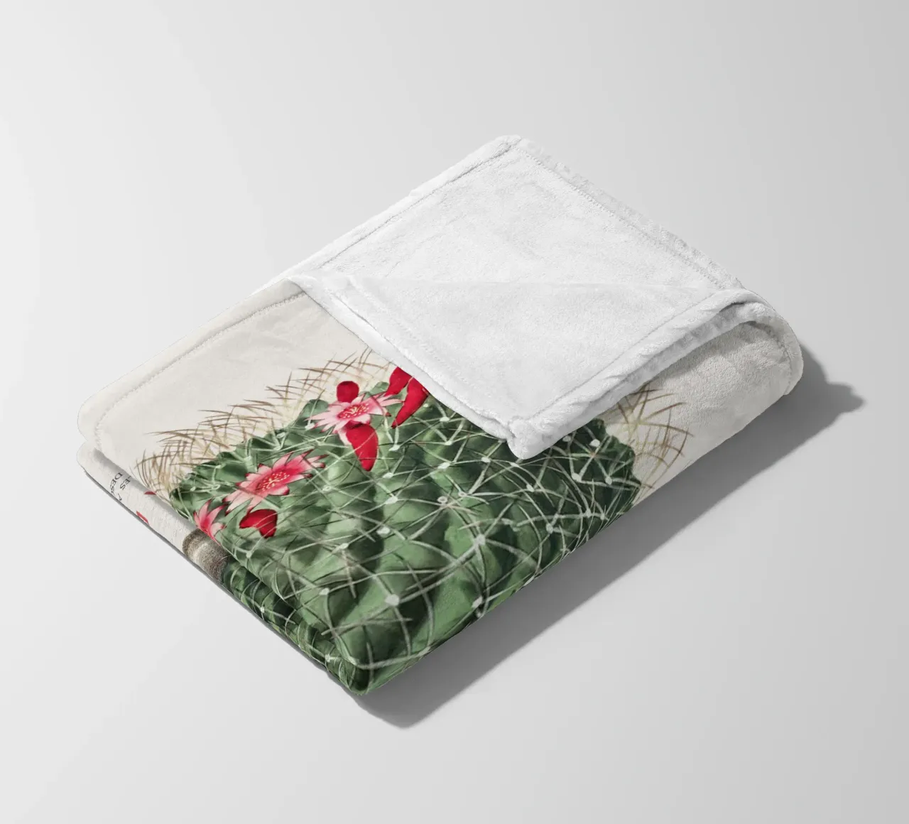 Cactus a puntaspilli o Mammillaria dolichocentra coperta in pile da Vintagrafica
