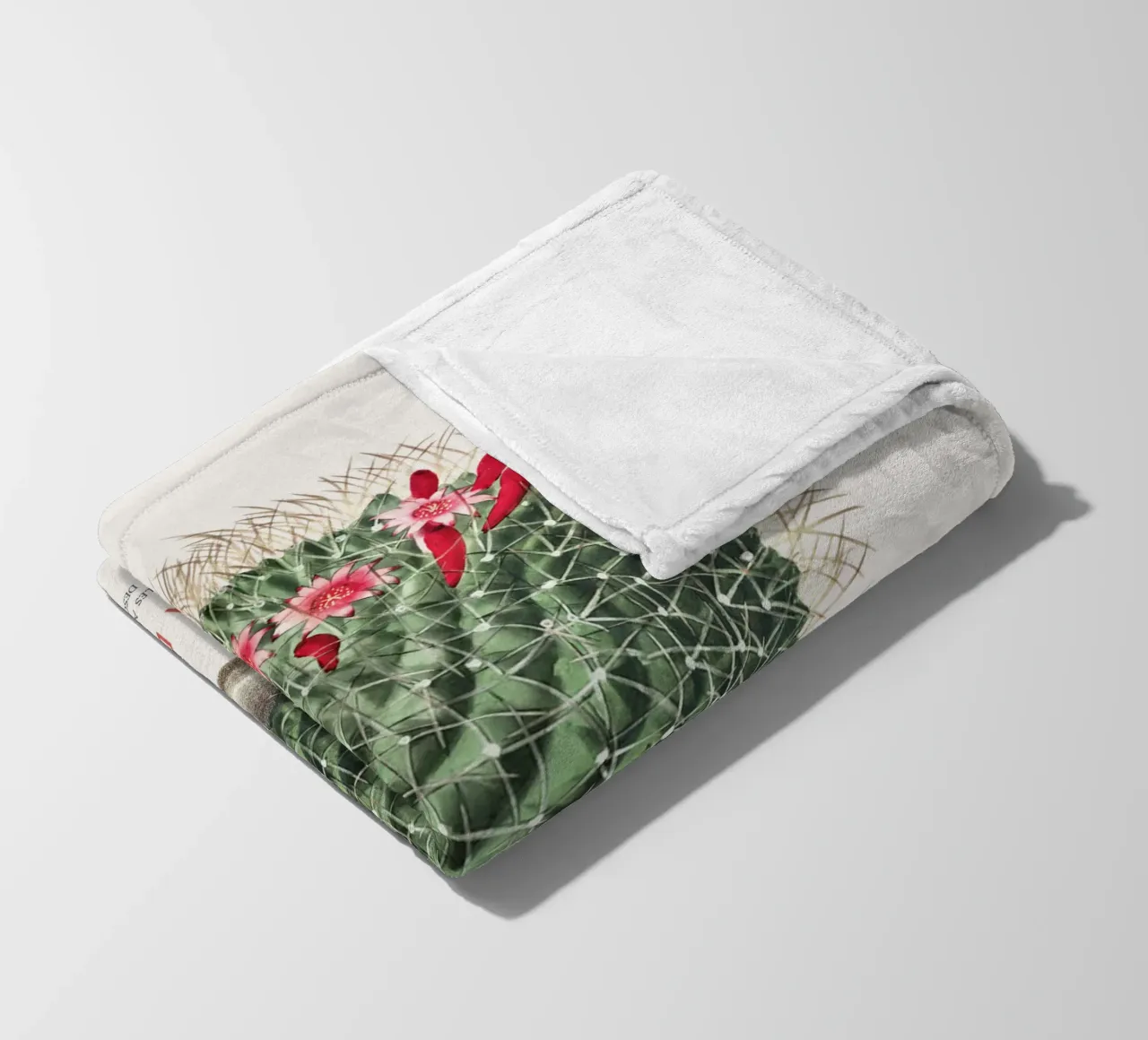 Cactus a puntaspilli o Mammillaria dolichocentra coperta in pile da Vintagrafica