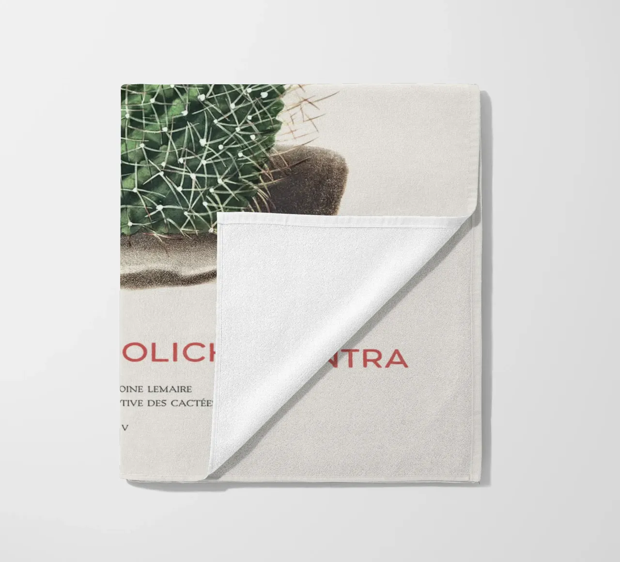 Pincushion Cactus or Mammillaria dolichocentra beach towel by Vintagrafica