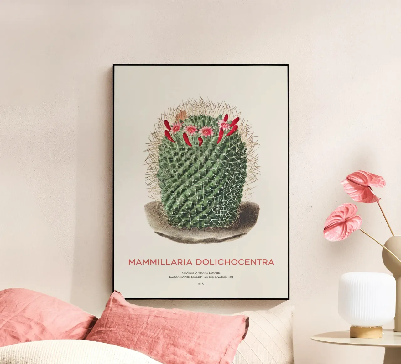 Cactus a puntaspilli o Mammillaria dolichocentra plexiglass da Vintagrafica