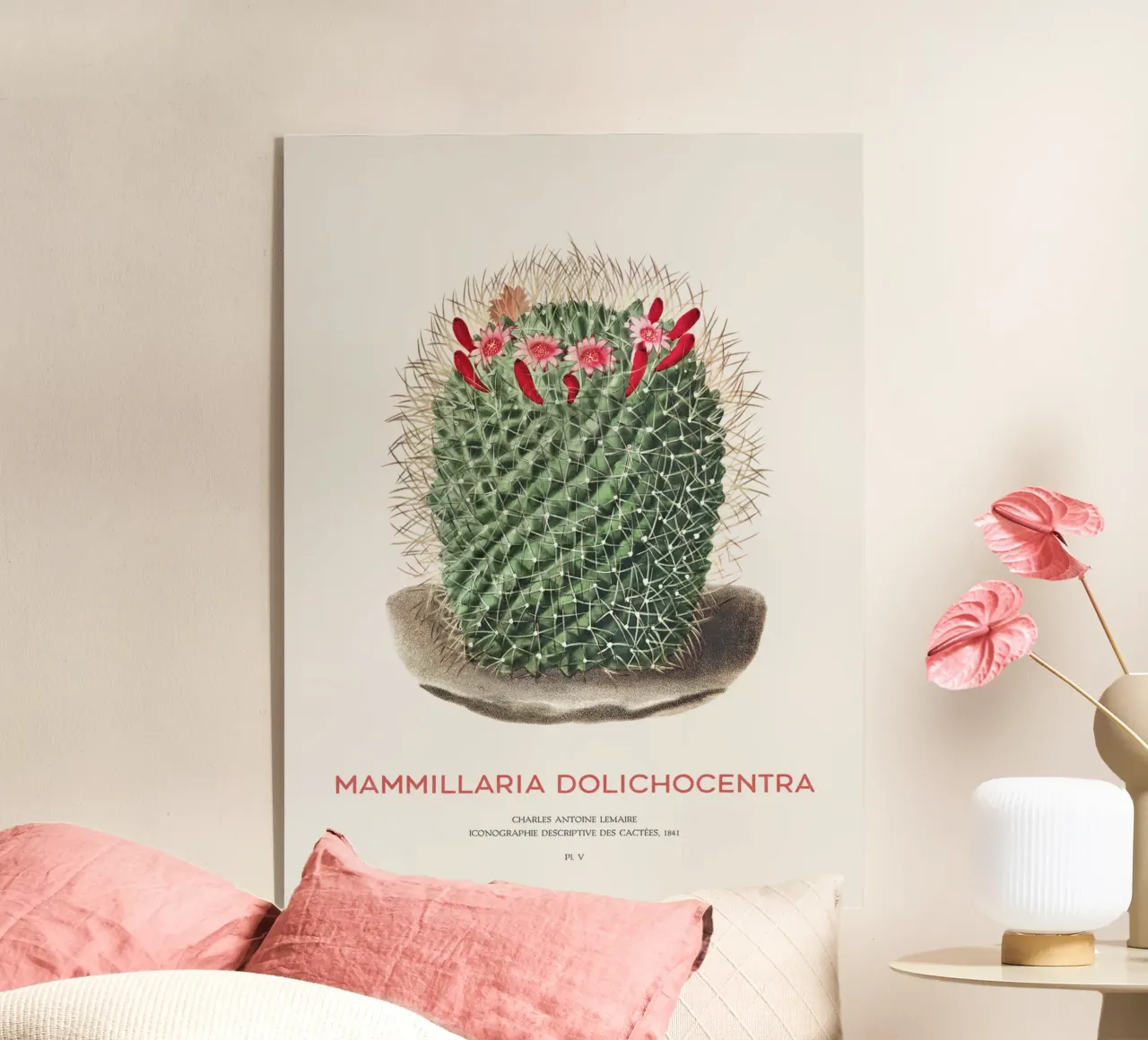 Cactus a puntaspilli o Mammillaria dolichocentra plexiglass da Vintagrafica