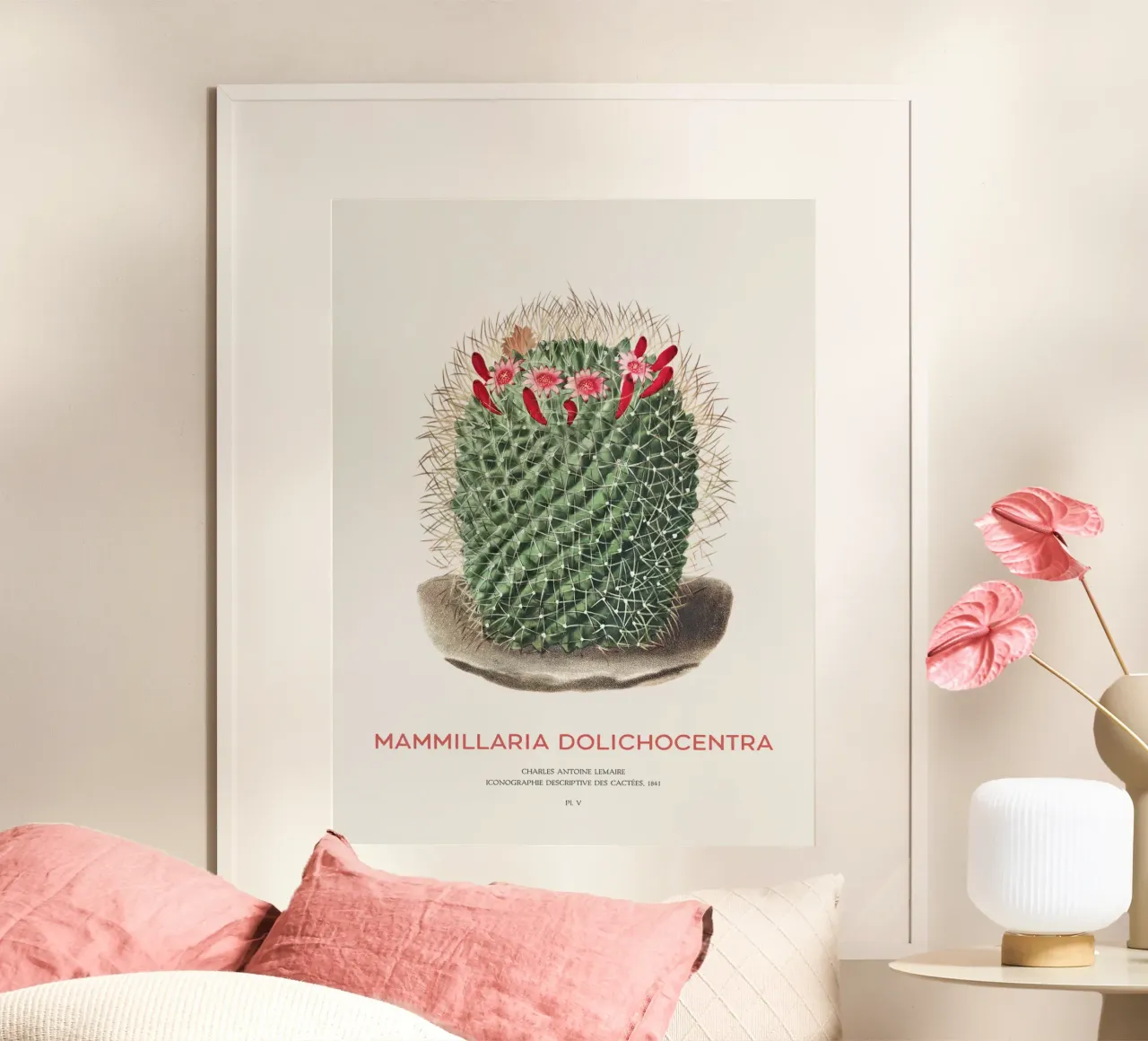 Cactus a puntaspilli o Mammillaria dolichocentra carta hahnemühle da Vintagrafica