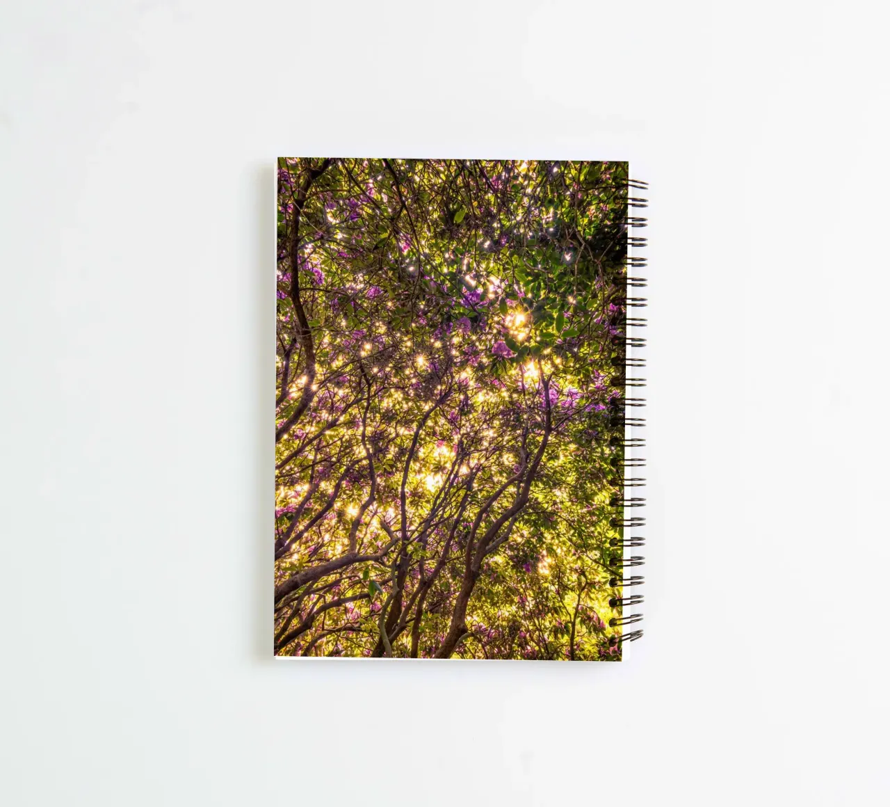 Rhododendron in the sunshine spiral notebook by Marcus Beckert | Fotografie