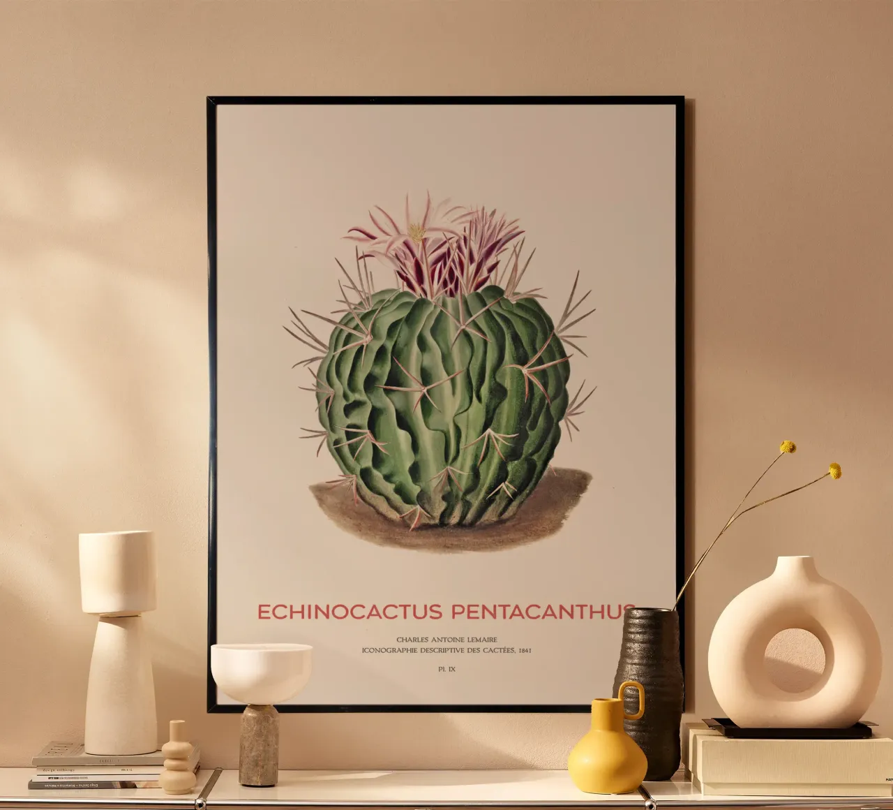 Cactus Echinocactus pentacanthus carta hahnemühle da Vintagrafica