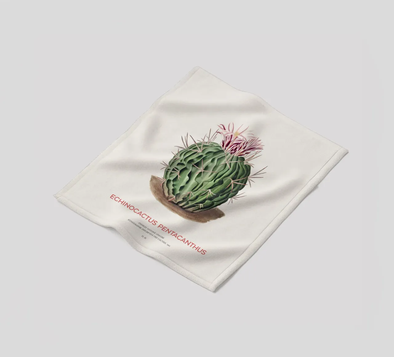 Cactus Echinocactus pentacanthus coperta in pile da Vintagrafica