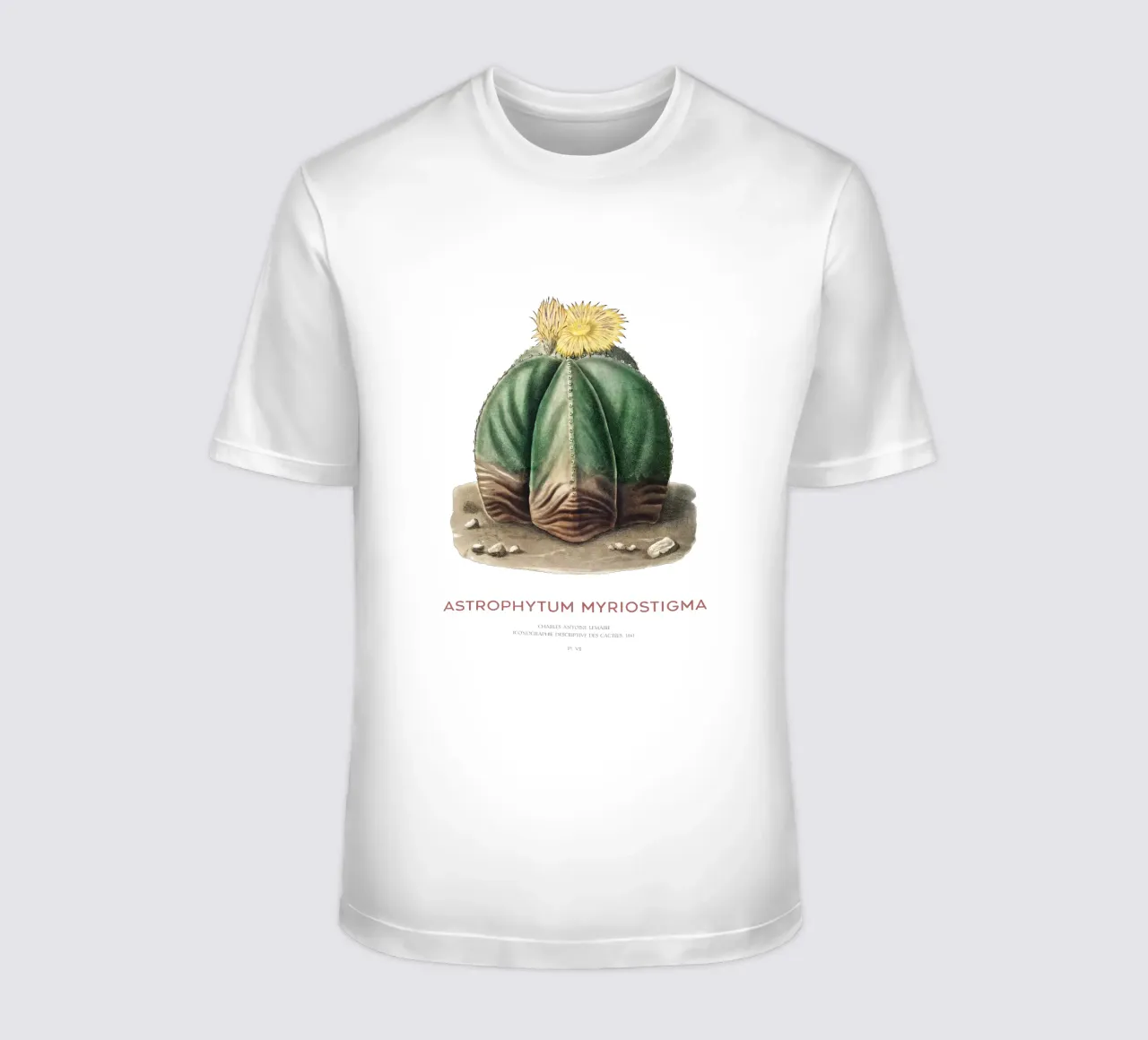 Cactus a cappuccio del vescovo o Astrophytum Myriostigma t-shirt da Vintagrafica