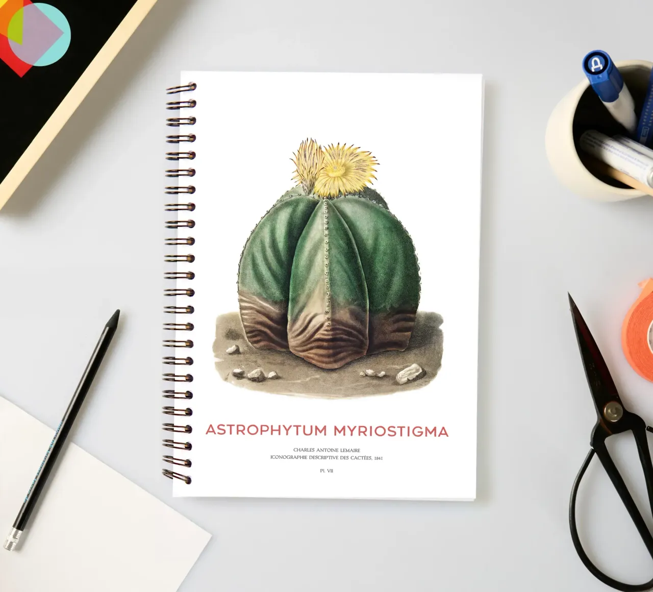 Bishop's cap cactus or Astrophytum Myriostigma spiral notebook by Vintagrafica