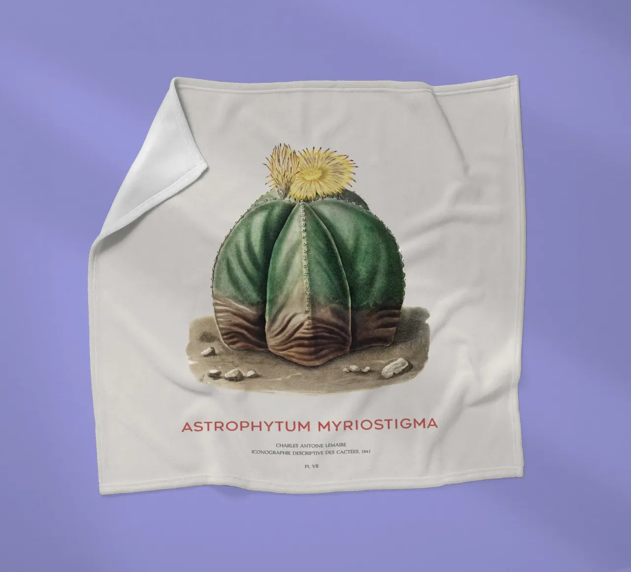Bischofsmützenkaktus oder Astrophytum Myriostigma Fleecedecke von Vintagrafica