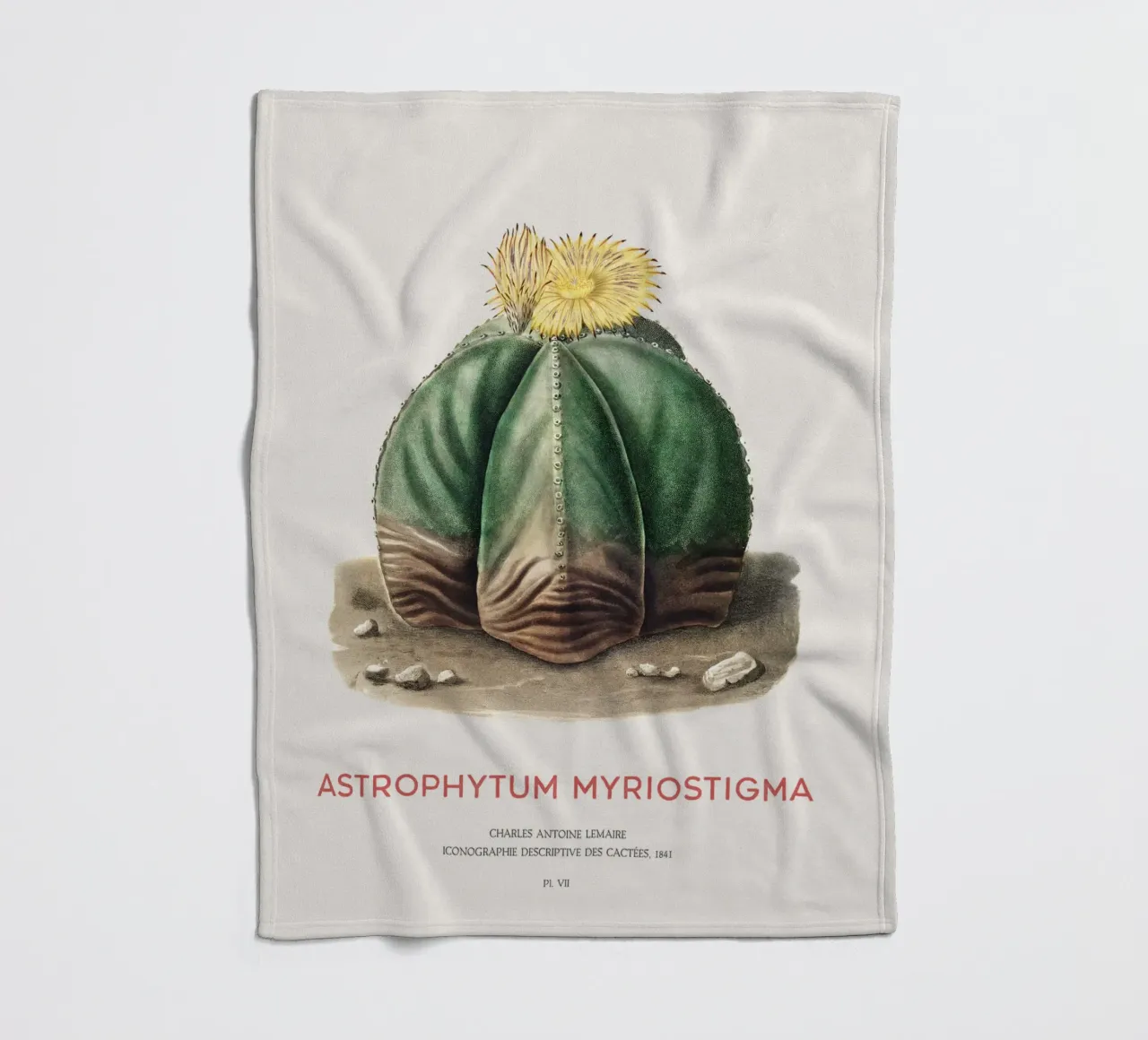 Bischofsmützenkaktus oder Astrophytum Myriostigma Fleecedecke von Vintagrafica