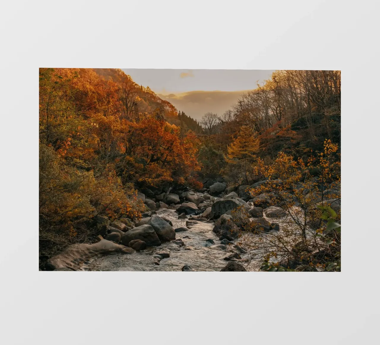 Fiume d'autunno a Niigata, Giappone pellicola backlit da Marcel Bisig