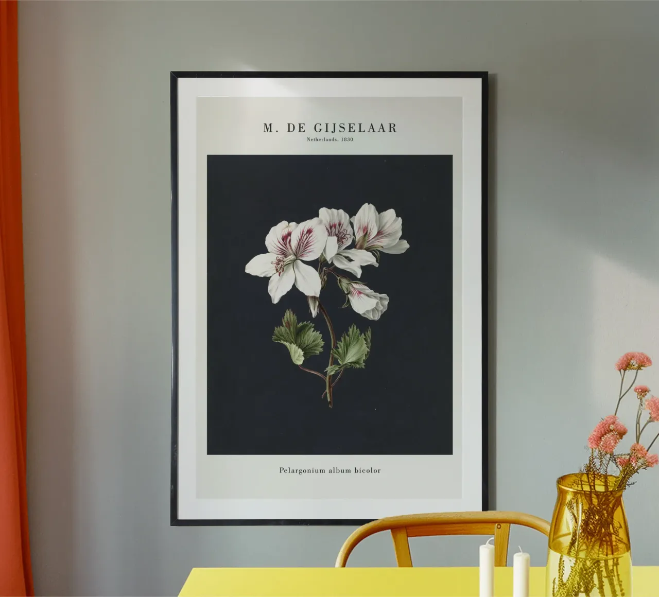 Gijselaar - Pelargonium - Blüte poster con telaio in alluminio da Old Masters
