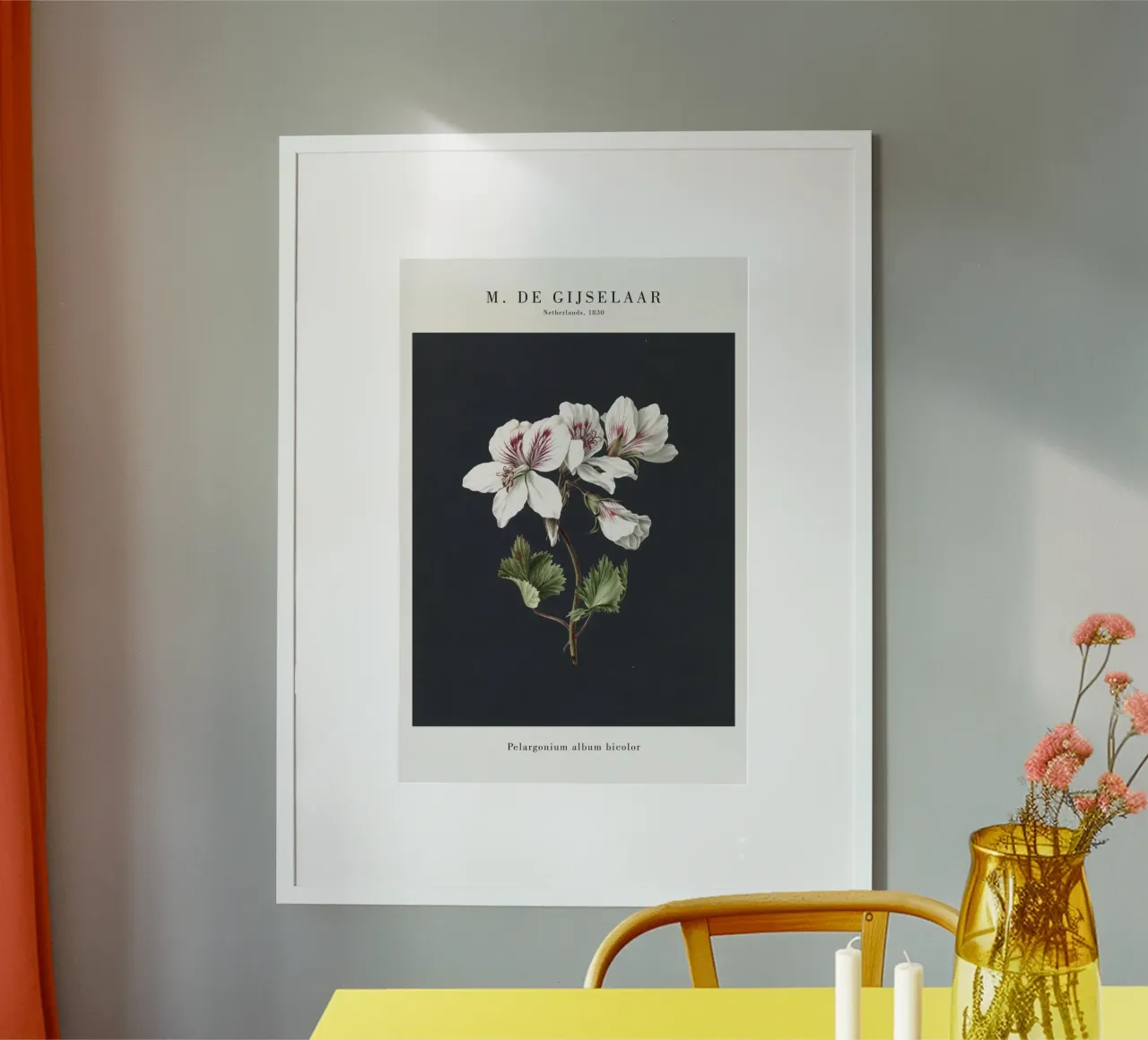 Gijselaar - Pelargonium - Blüte poster con telaio in alluminio da Old Masters