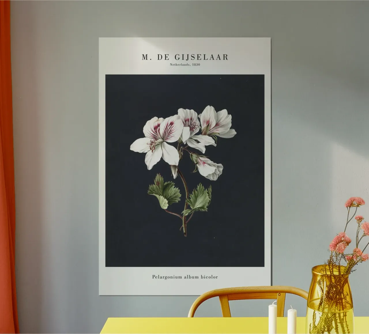 Gijselaar - Pelargonium - Blüte poster con telaio in alluminio da Old Masters