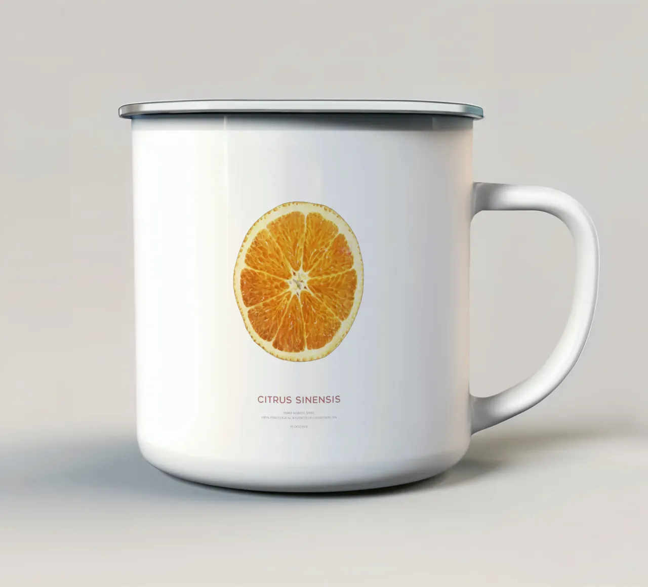 Arance dolci o Citrus Sinensis tazza in smalto da Vintagrafica