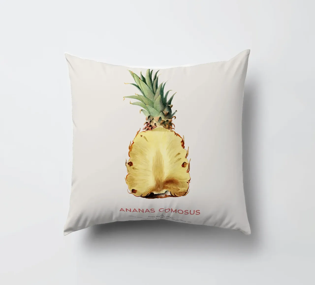 Ananas o Ananas comosus cuscino da Vintagrafica