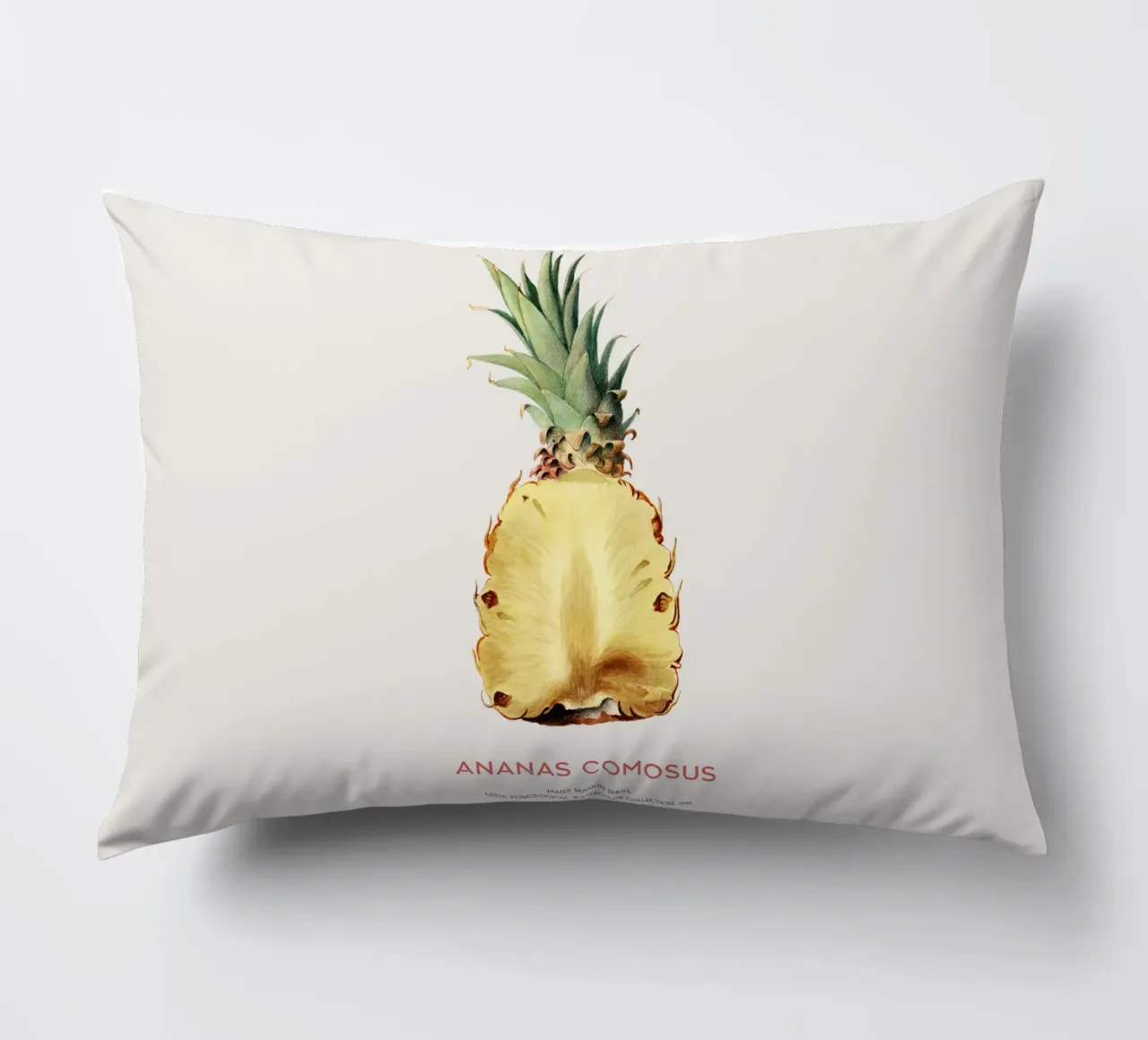 Ananas o Ananas comosus cuscino da Vintagrafica